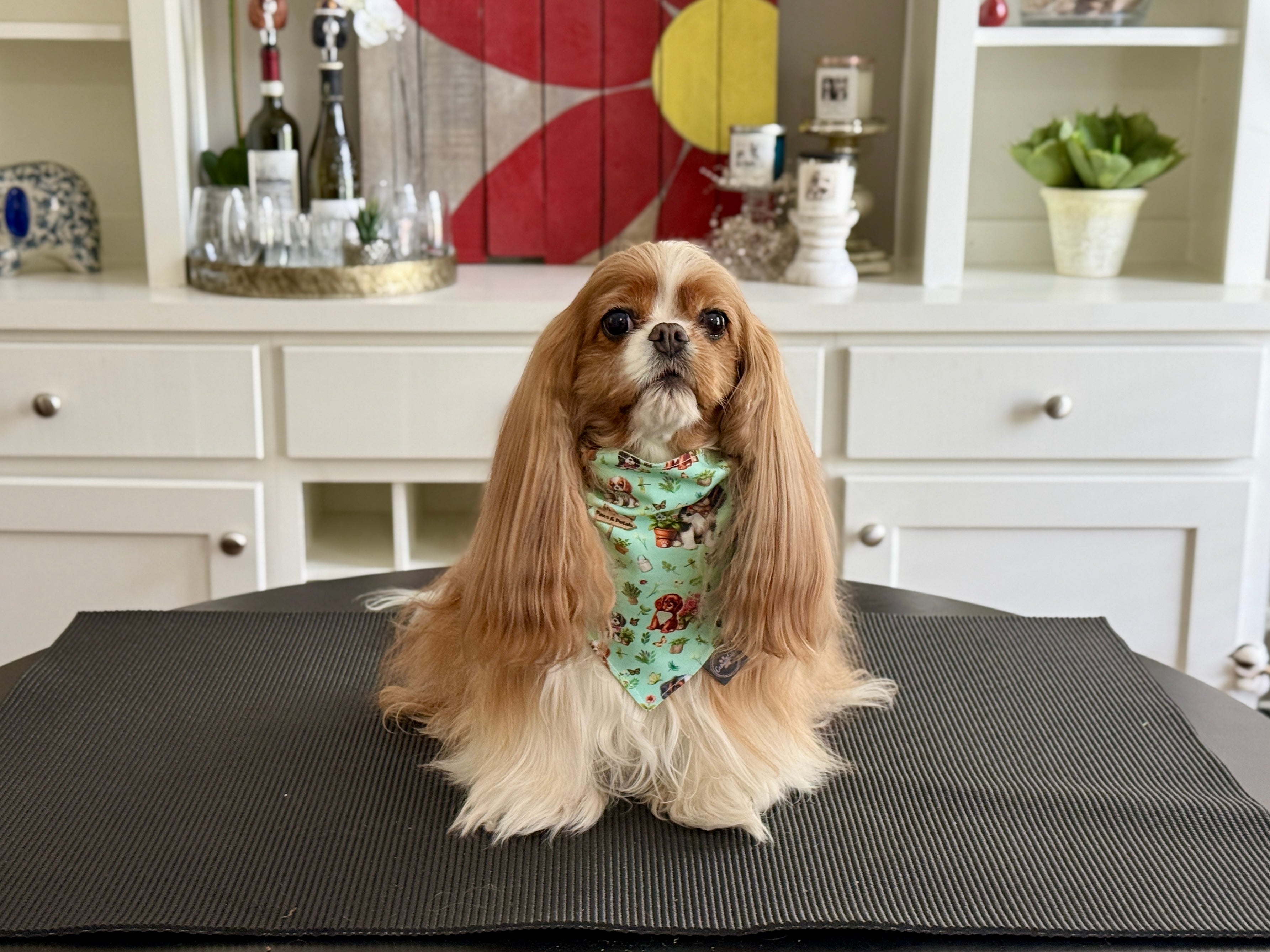 Cavalier Garden Party & Little Garden Friends