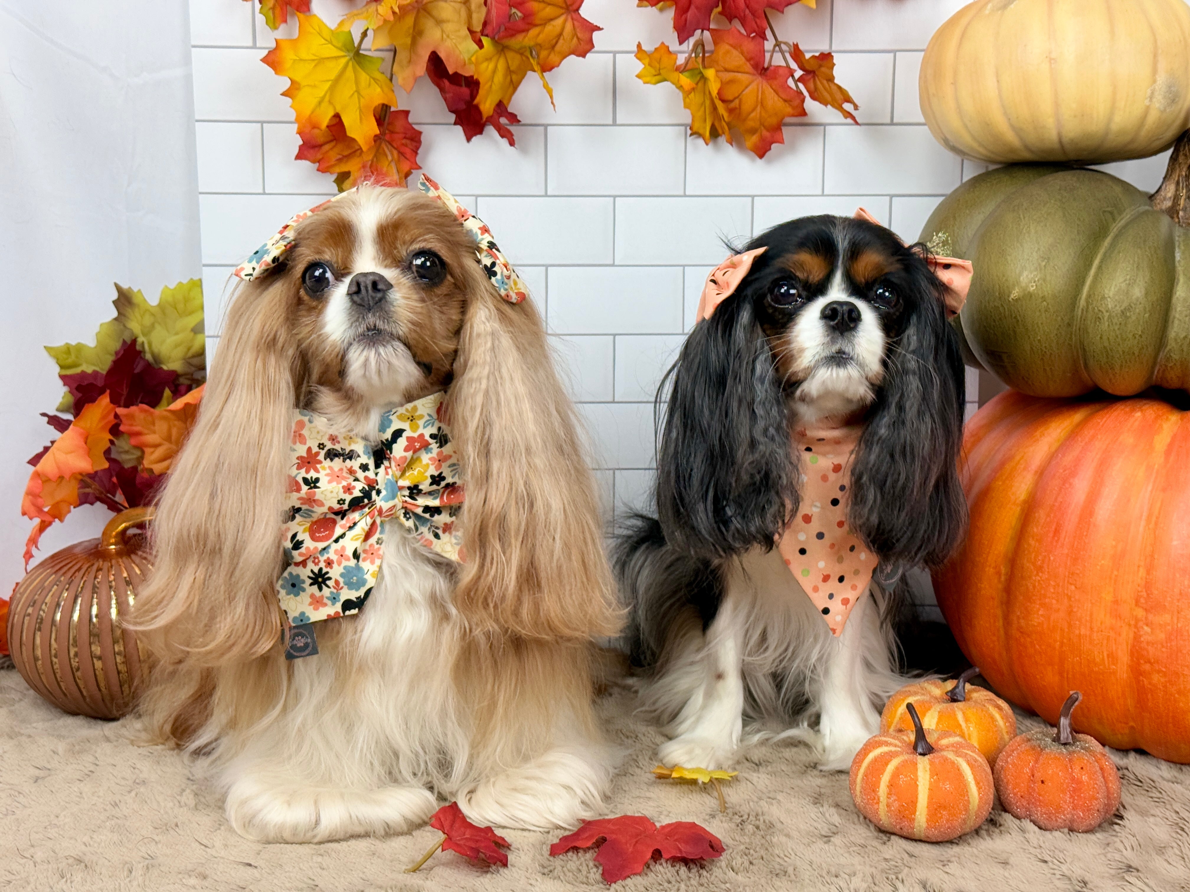Bats & Blooms and Pumpkin Sprinkles