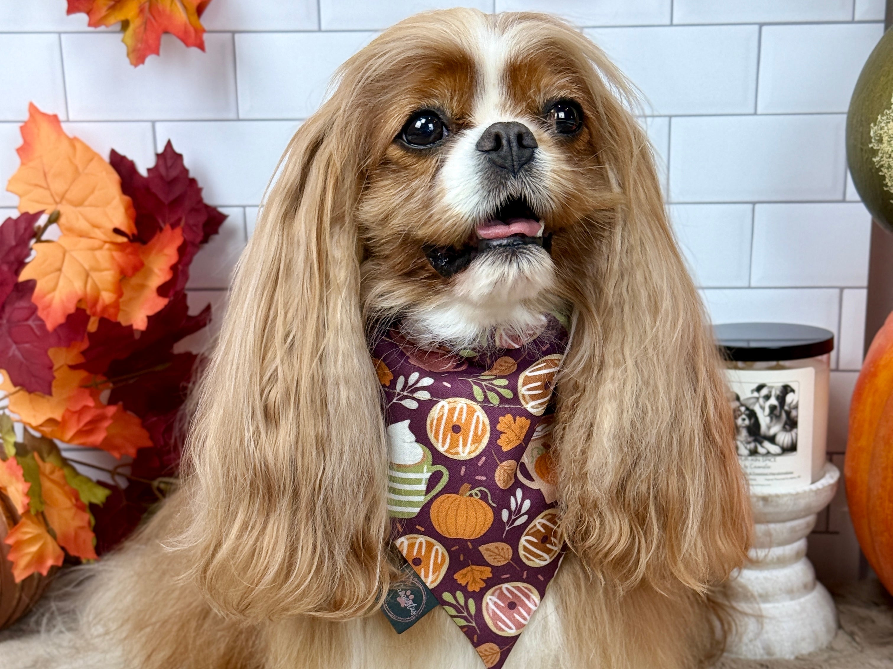 Pumpkin Spice Life and Falling for Fall