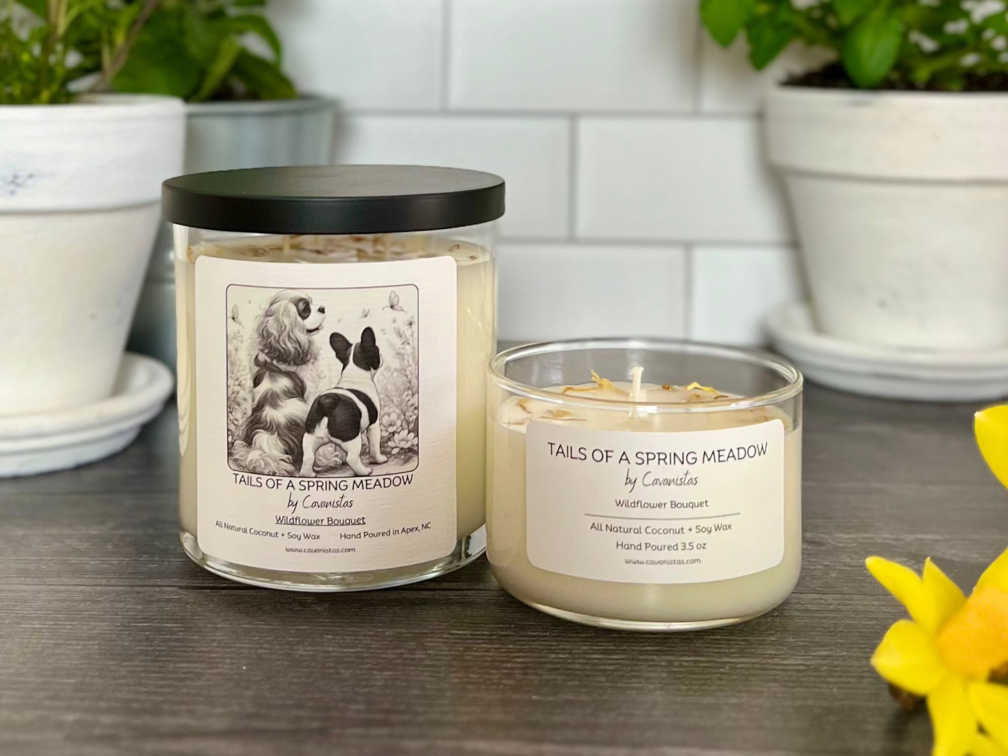 Paws & Sniffs Candle Collection