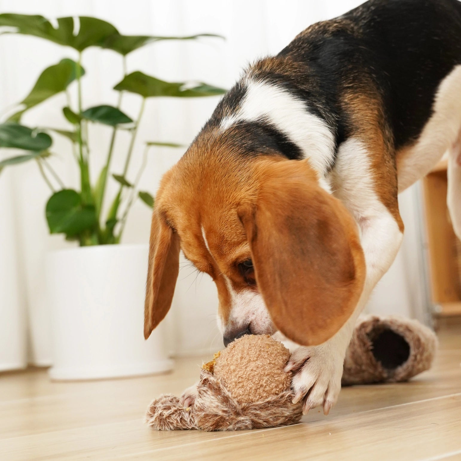 Squirrel Pop//Enrichment Dog Toy