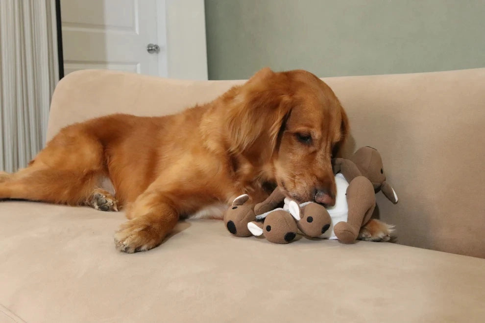 Joey Pouch Snuffle Toy