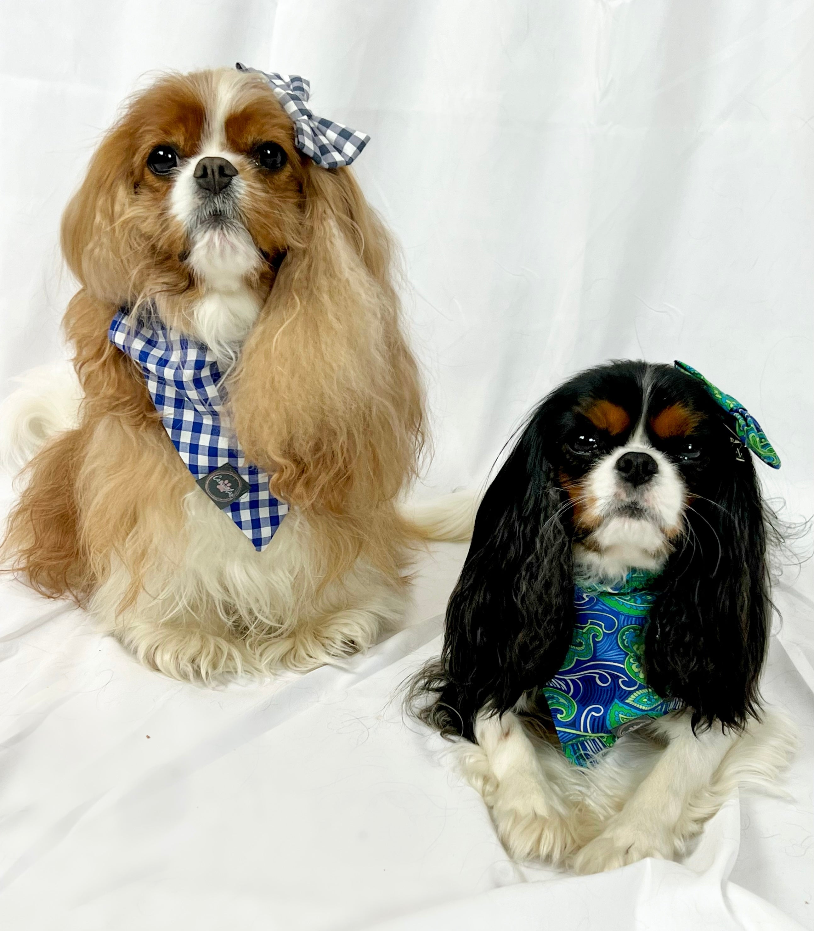 Intermission Wardrobe Change Reversible Bandana - Paisley Blues/Cerulean Gingham