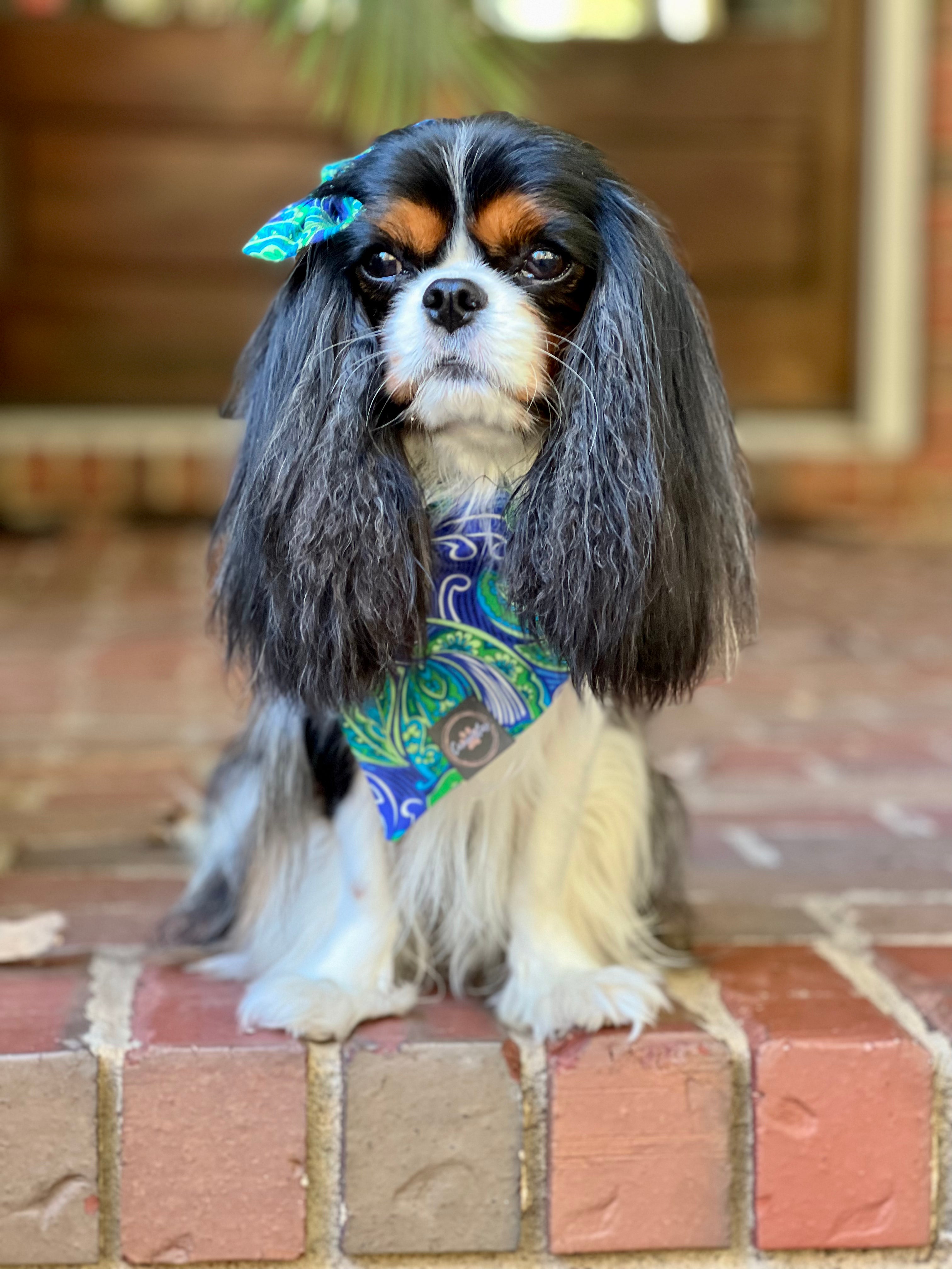 Intermission Wardrobe Change Reversible Bandana - Paisley Blues/Cerulean Gingham