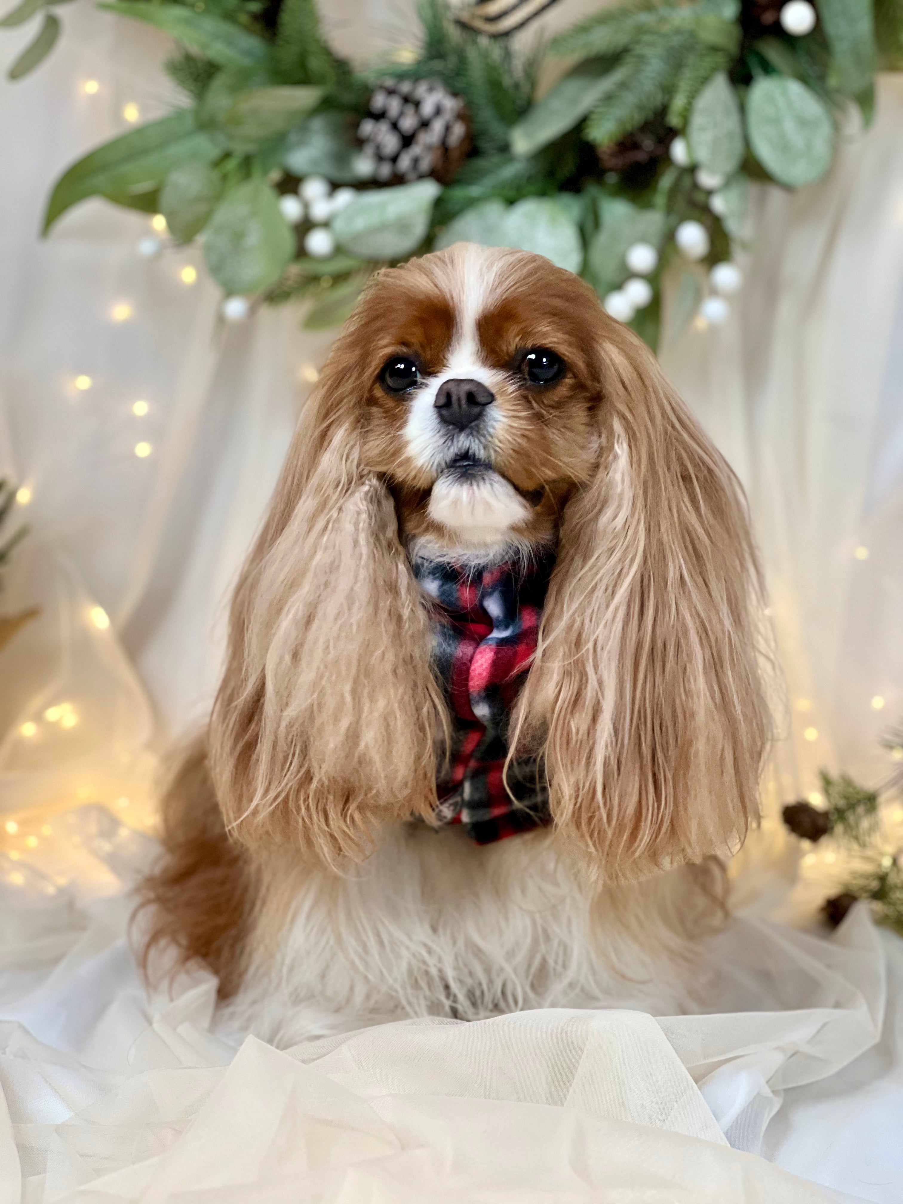 Cozy & Warm Infinity Scarf