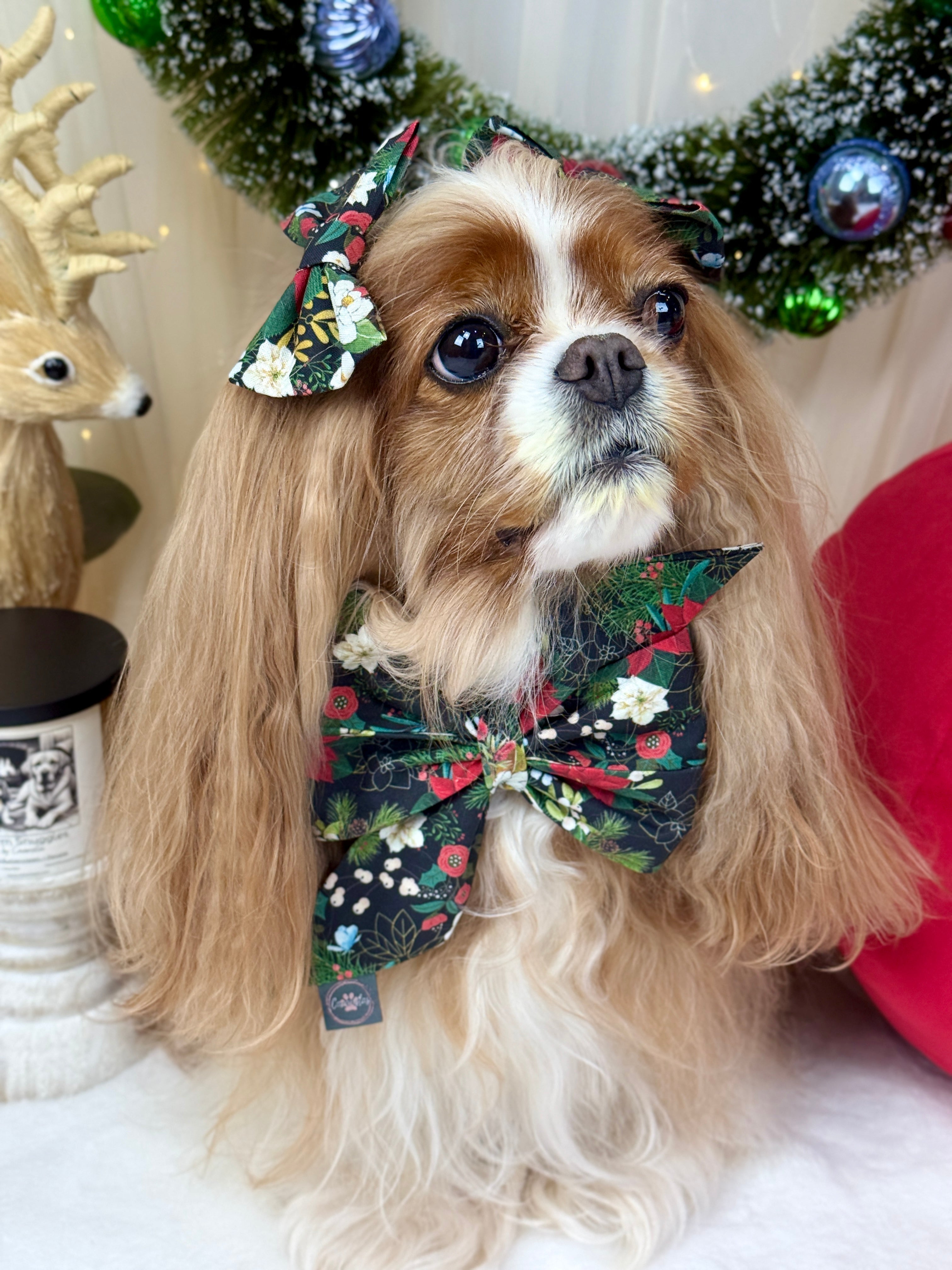 Strike a Pose Bow - Midnight Winter Garden or Twilight Sleigh Ride