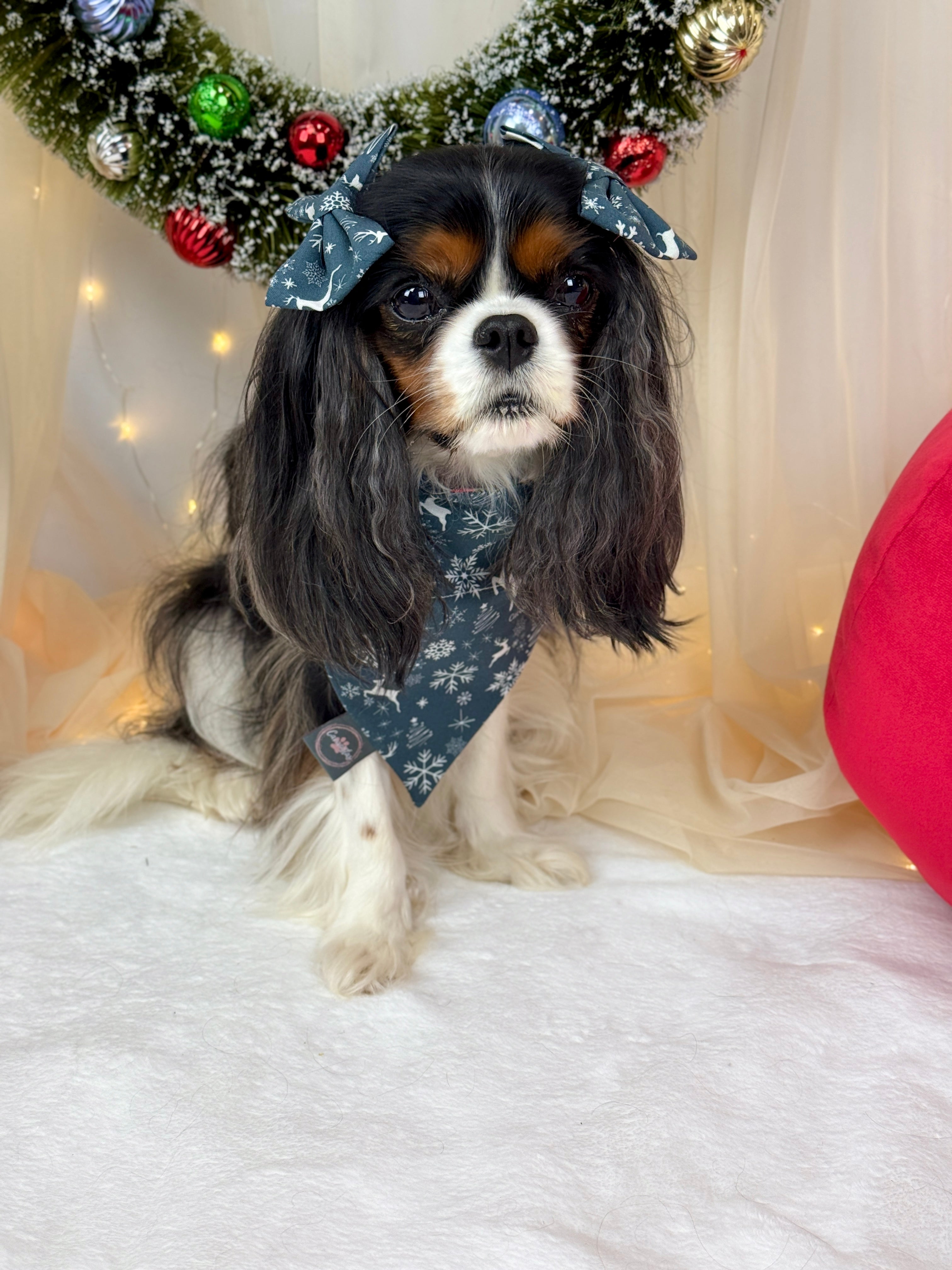 Intermission Wardrobe Change Reversible Bandana - Midnight Winter Garden & Twilight Sleigh Ride