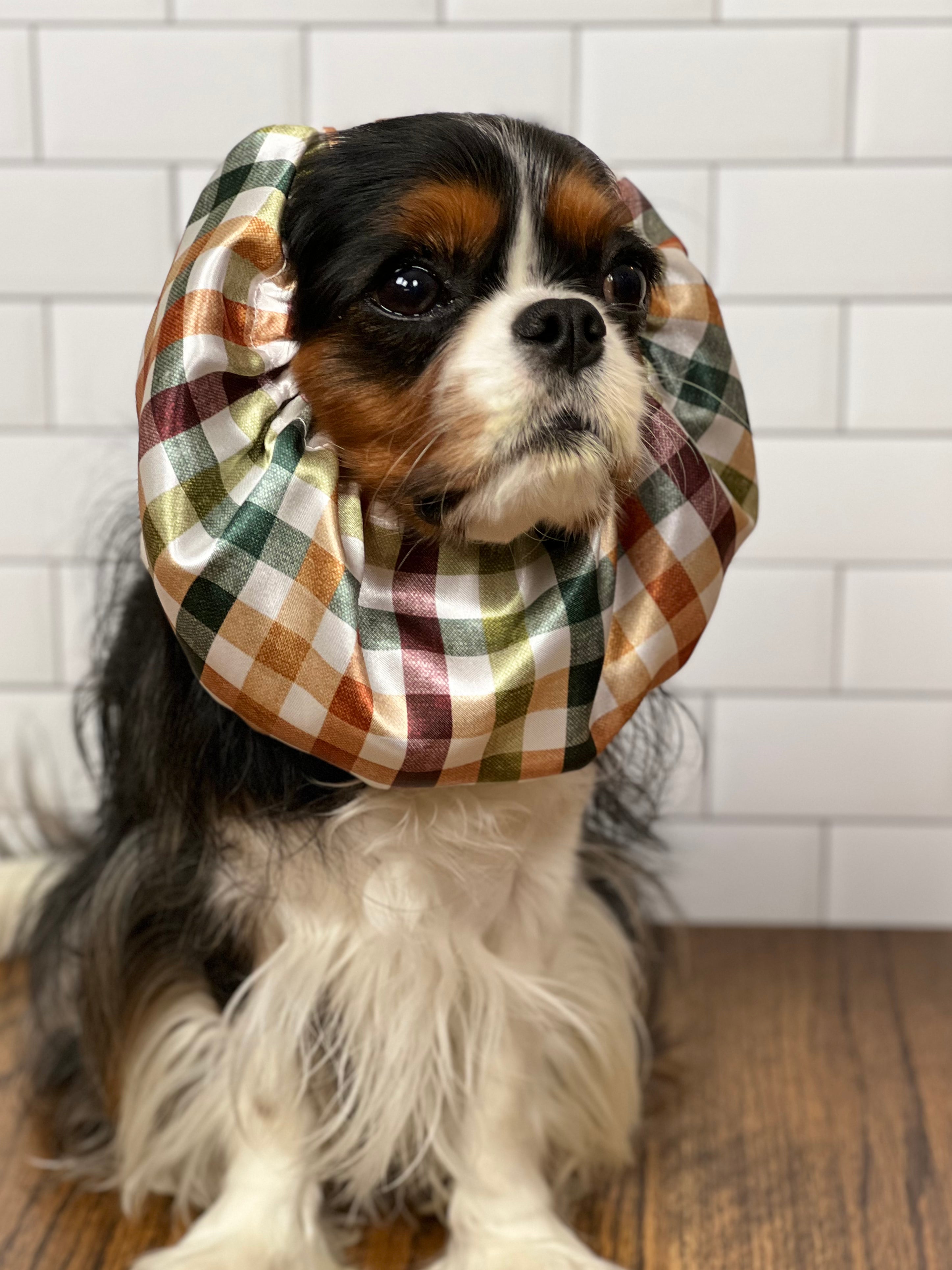 The Long Ear Struggles Are Real Snood - Fall Plaid