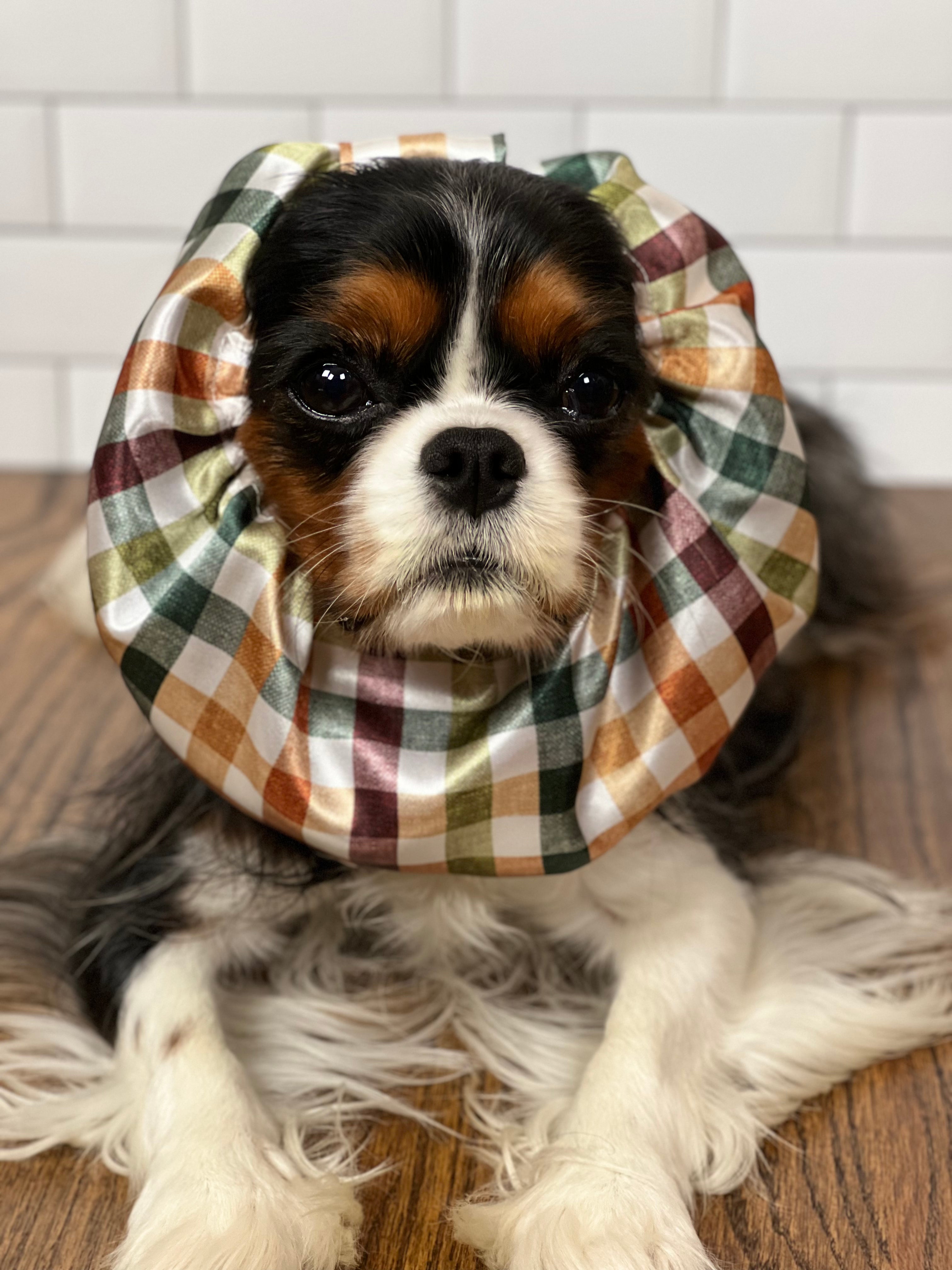 The Long Ear Struggles Are Real Snood - Fall Plaid