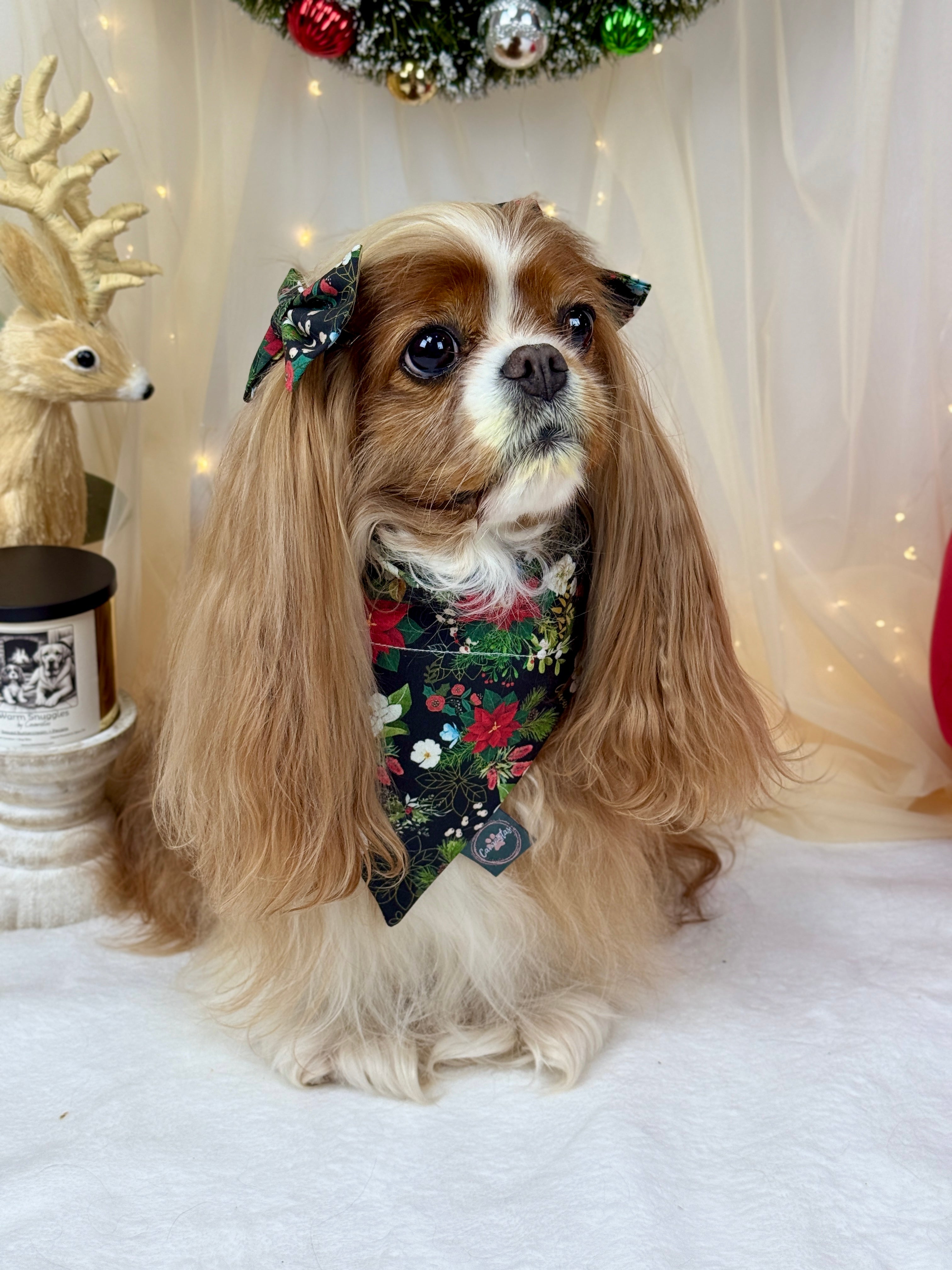 Intermission Wardrobe Change Reversible Bandana - Midnight Winter Garden & Twilight Sleigh Ride