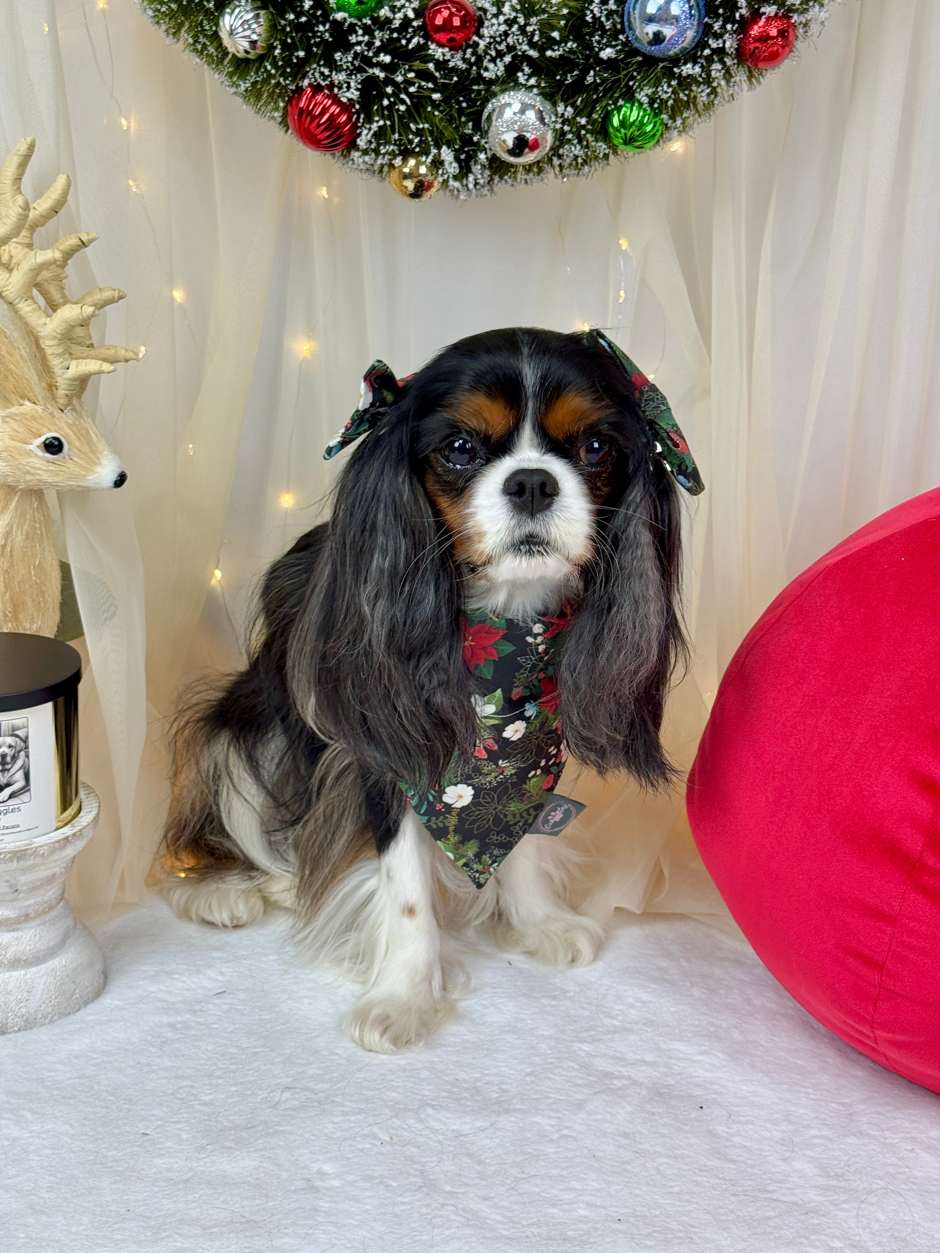 Intermission Wardrobe Change Reversible Bandana - Midnight Winter Garden & Twilight Sleigh Ride