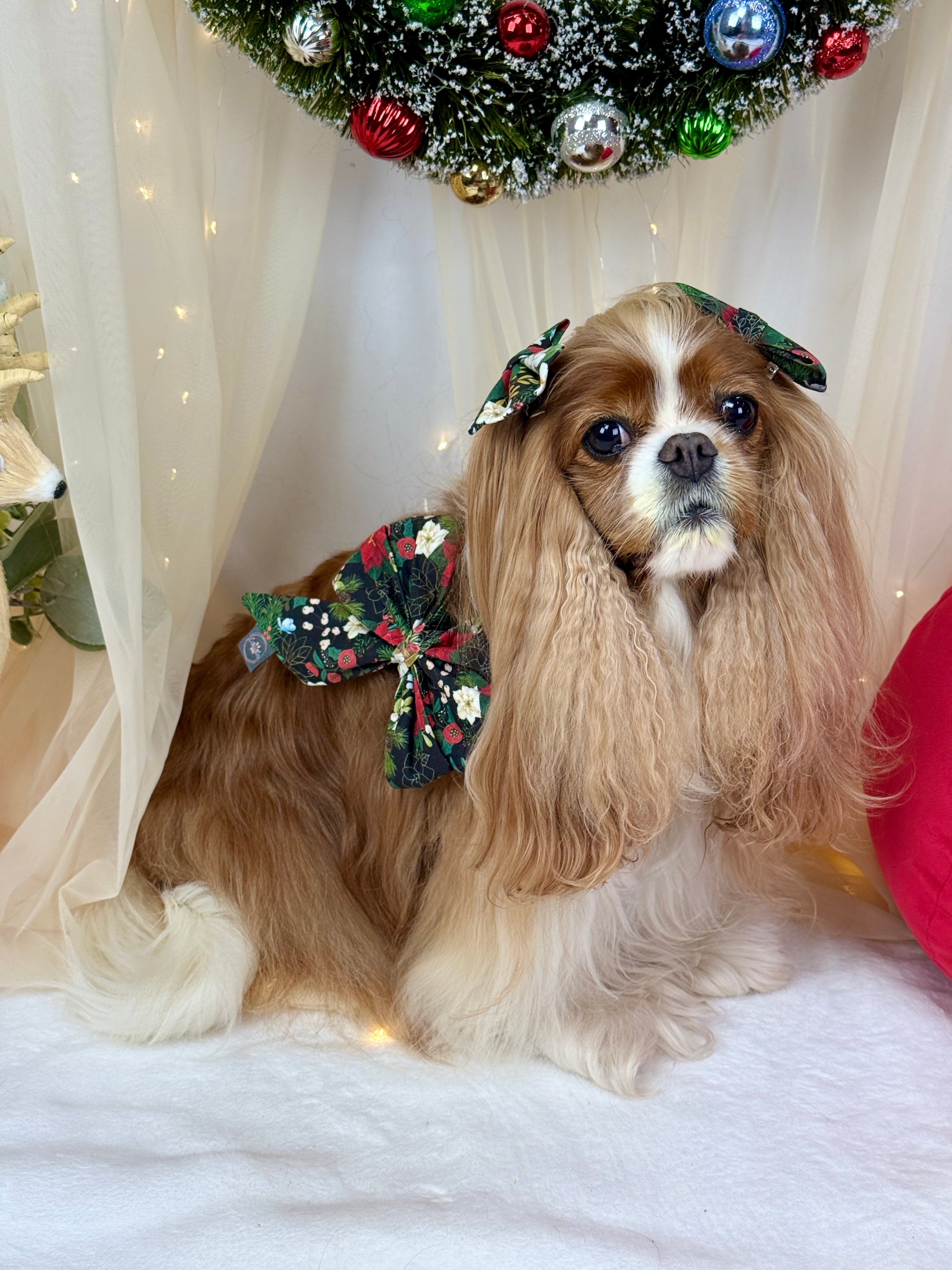 Strike a Pose Bow - Midnight Winter Garden or Twilight Sleigh Ride