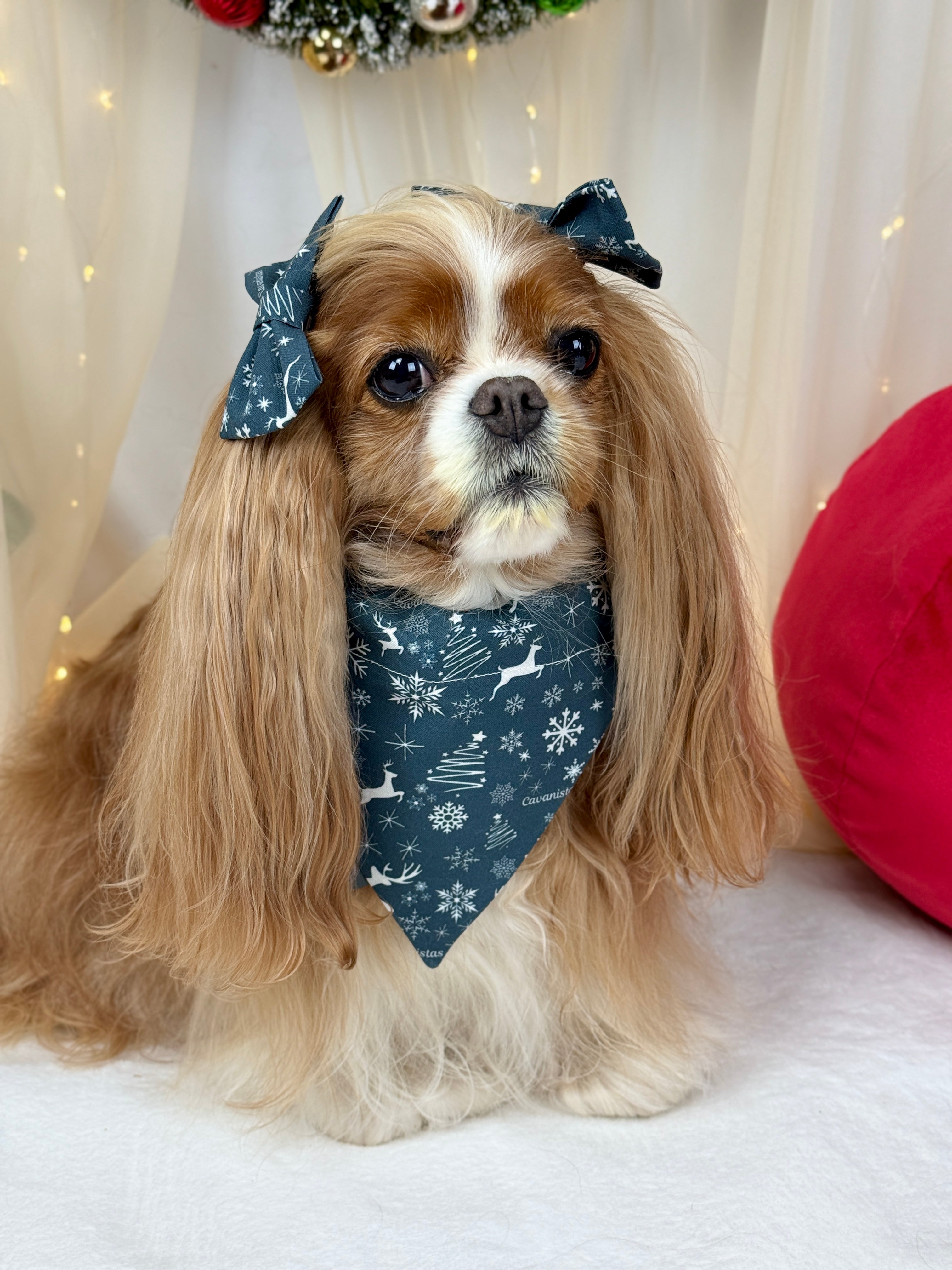 Intermission Wardrobe Change Reversible Bandana - Midnight Winter Garden & Twilight Sleigh Ride