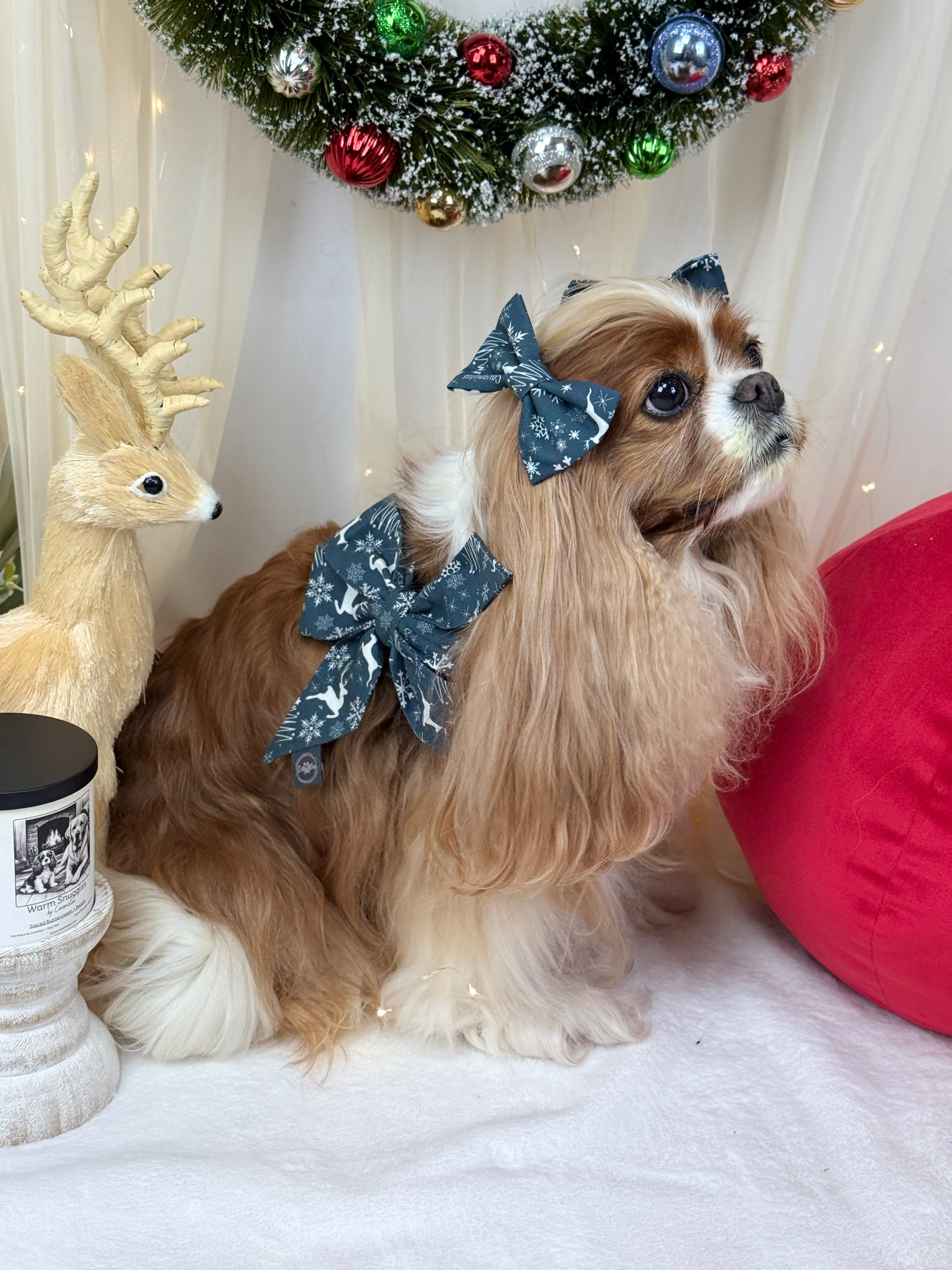 Strike a Pose Bow - Midnight Winter Garden or Twilight Sleigh Ride