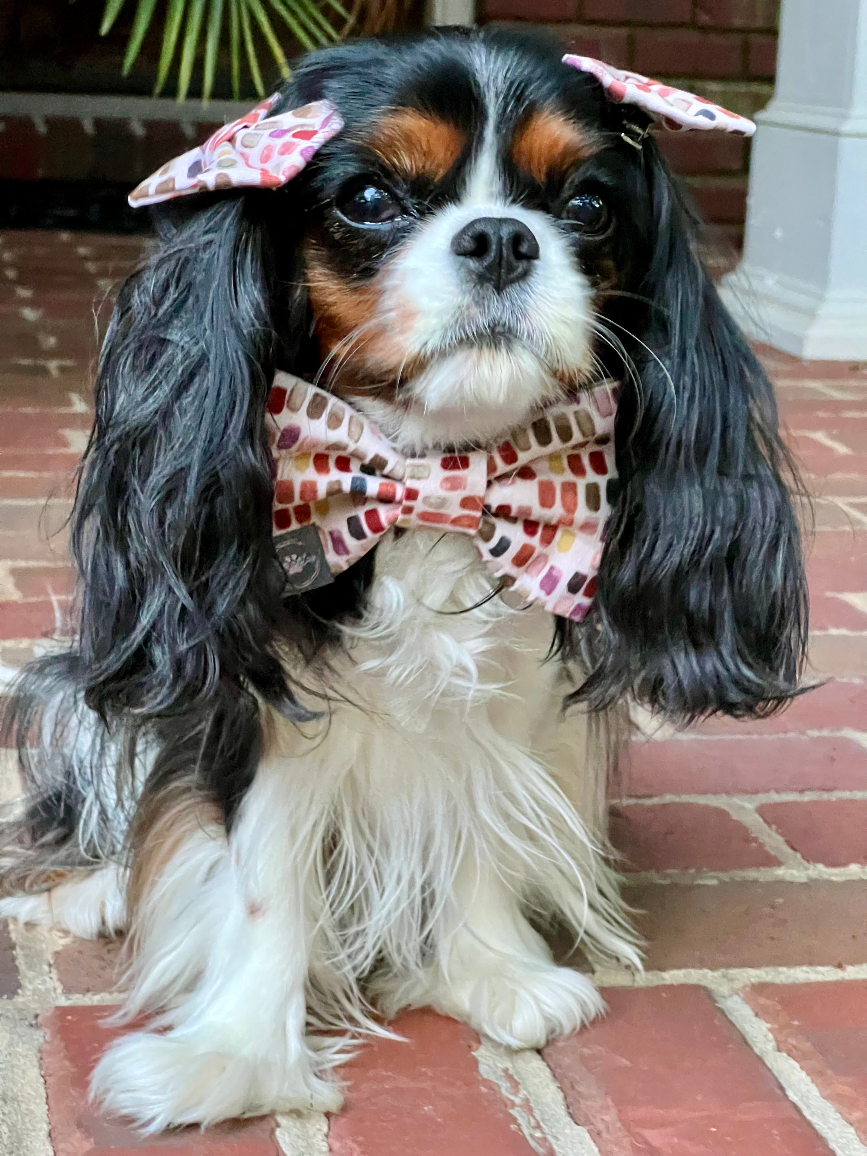 Dressed to Impress Bow Tie - Fall Garden & Fall Palette