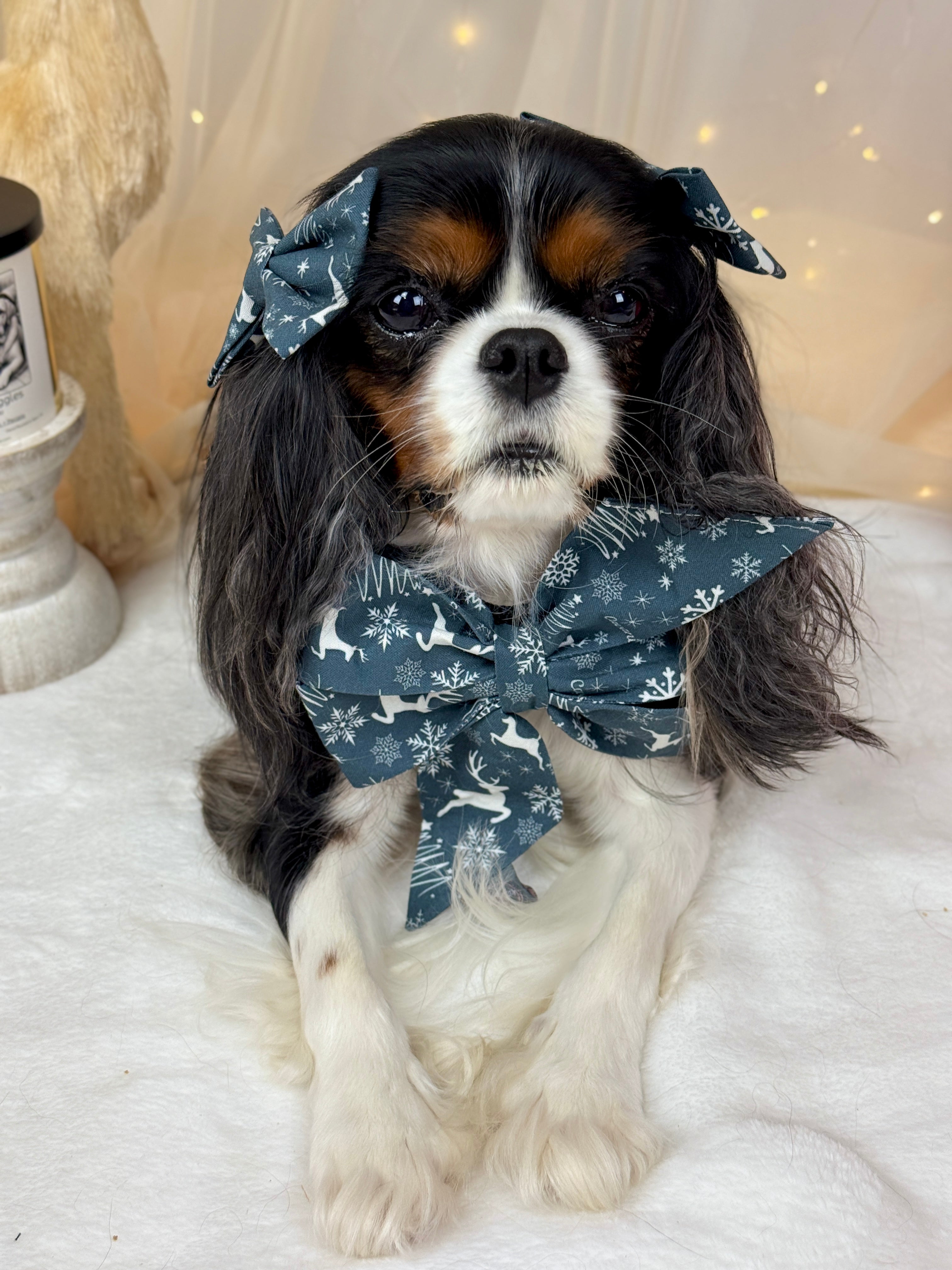 Strike a Pose Bow - Midnight Winter Garden or Twilight Sleigh Ride