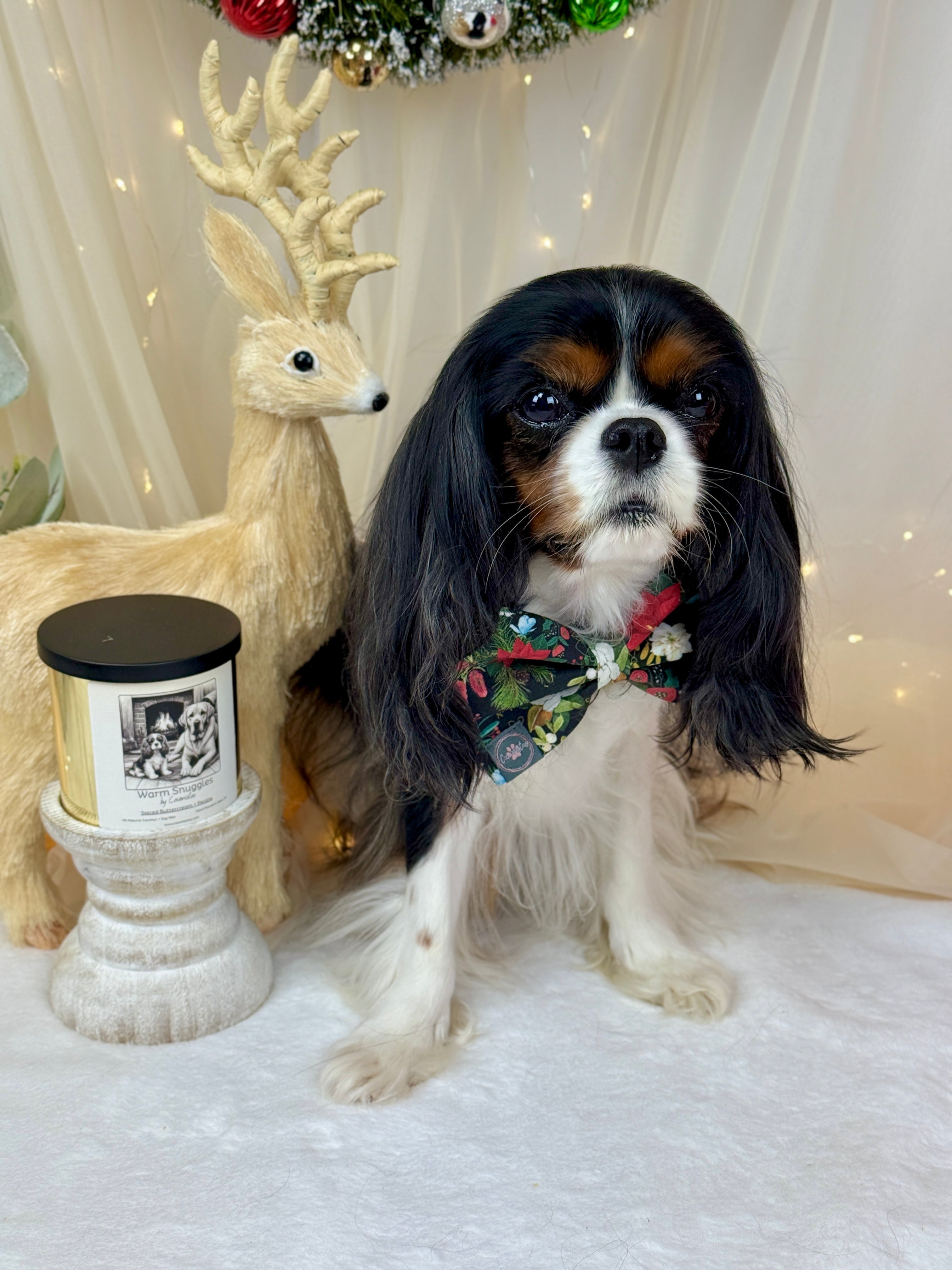 Dress to Impress Bow Tie - Midnight Winter Garden or Twilight Sleigh Ride