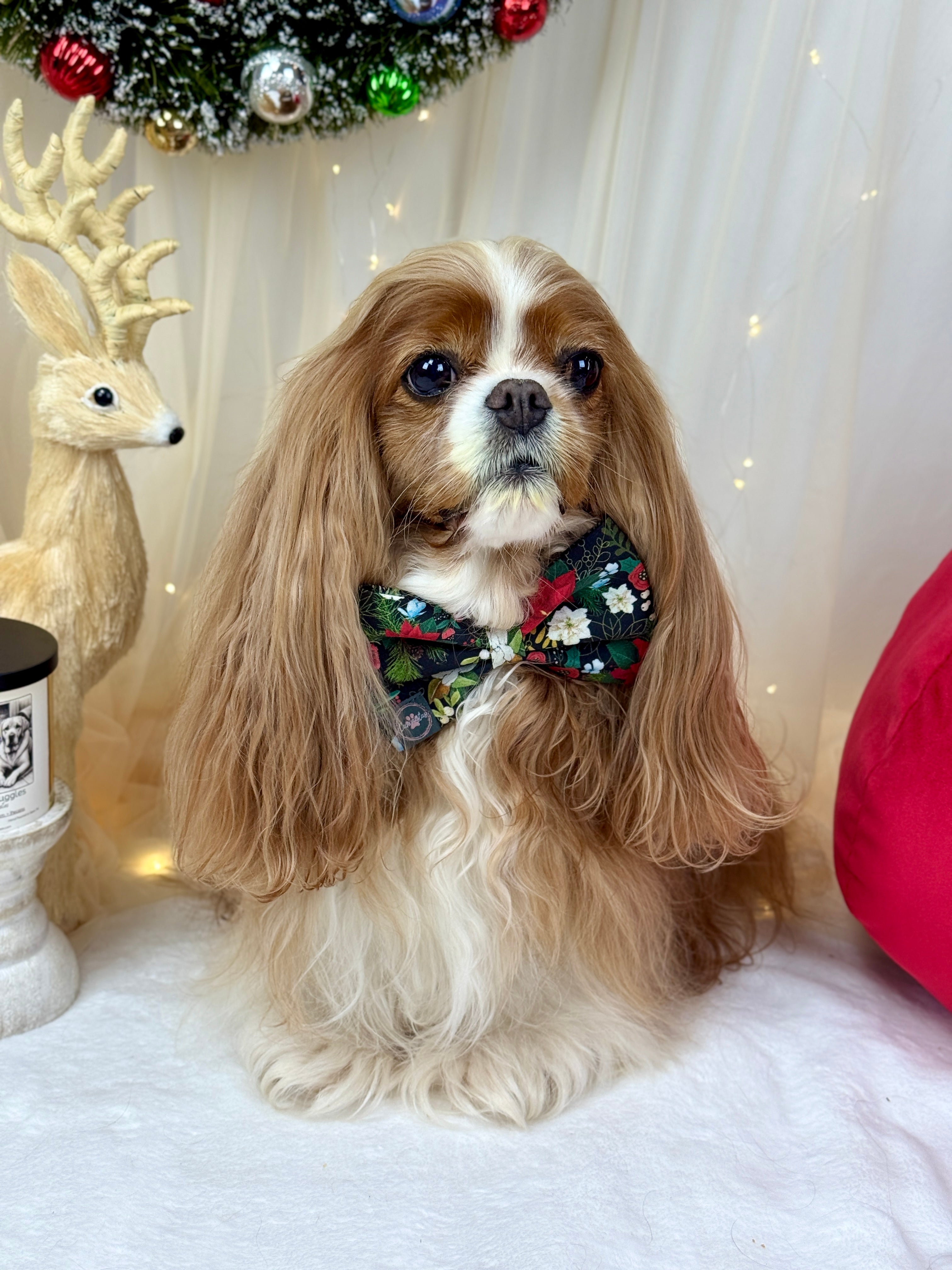 Dress to Impress Bow Tie - Midnight Winter Garden or Twilight Sleigh Ride