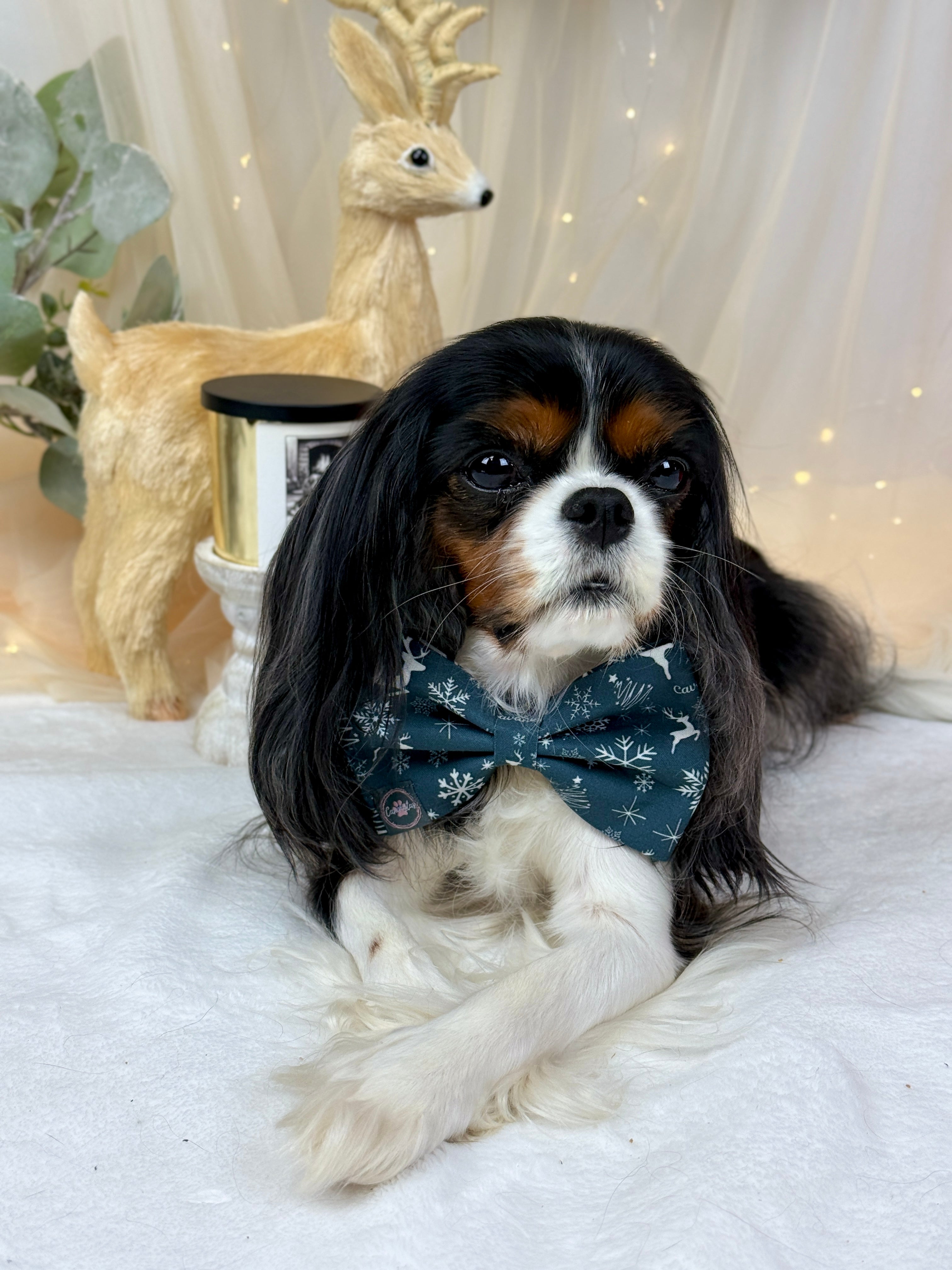 Dress to Impress Bow Tie - Midnight Winter Garden or Twilight Sleigh Ride