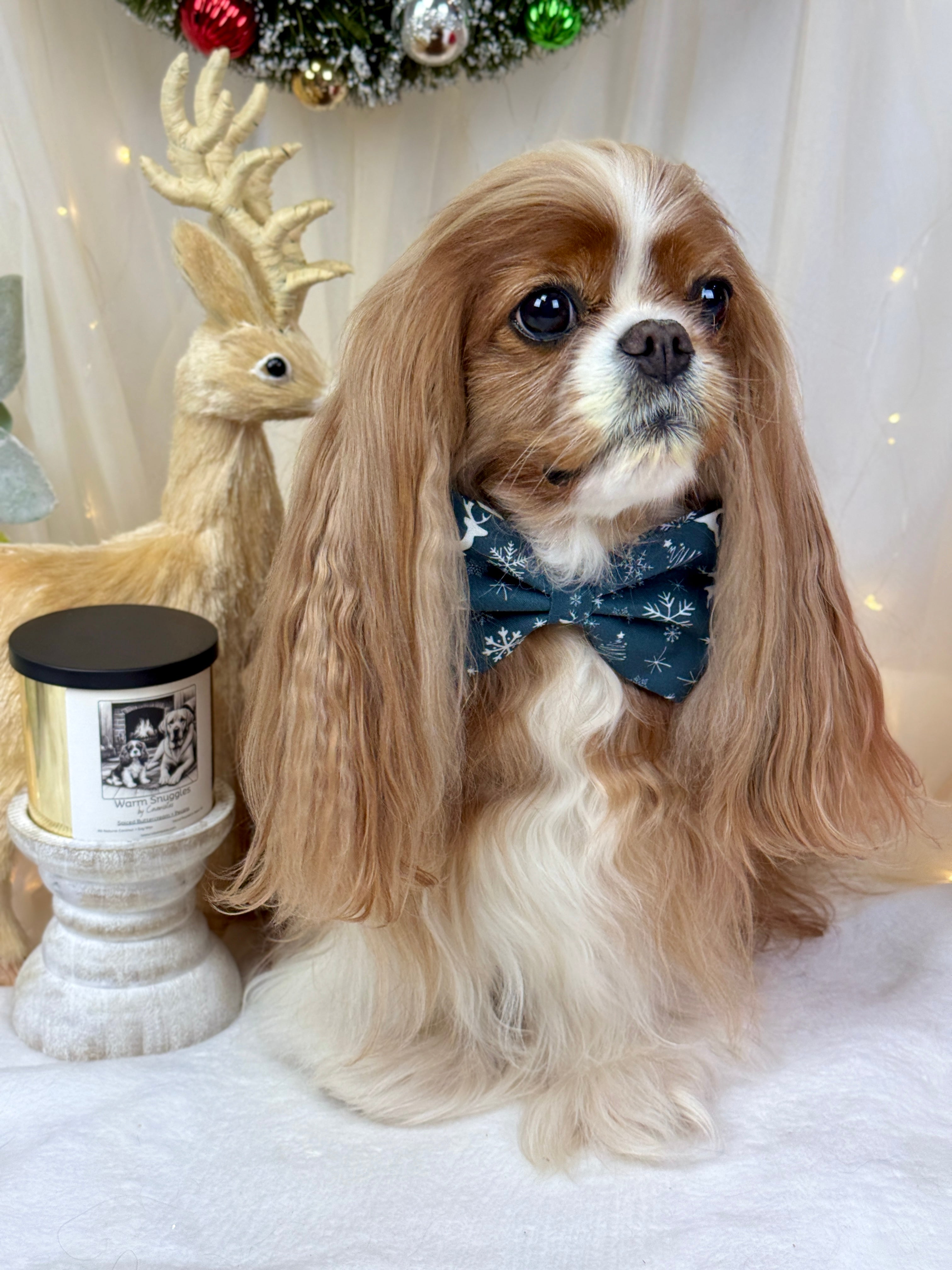 Dress to Impress Bow Tie - Midnight Winter Garden or Twilight Sleigh Ride