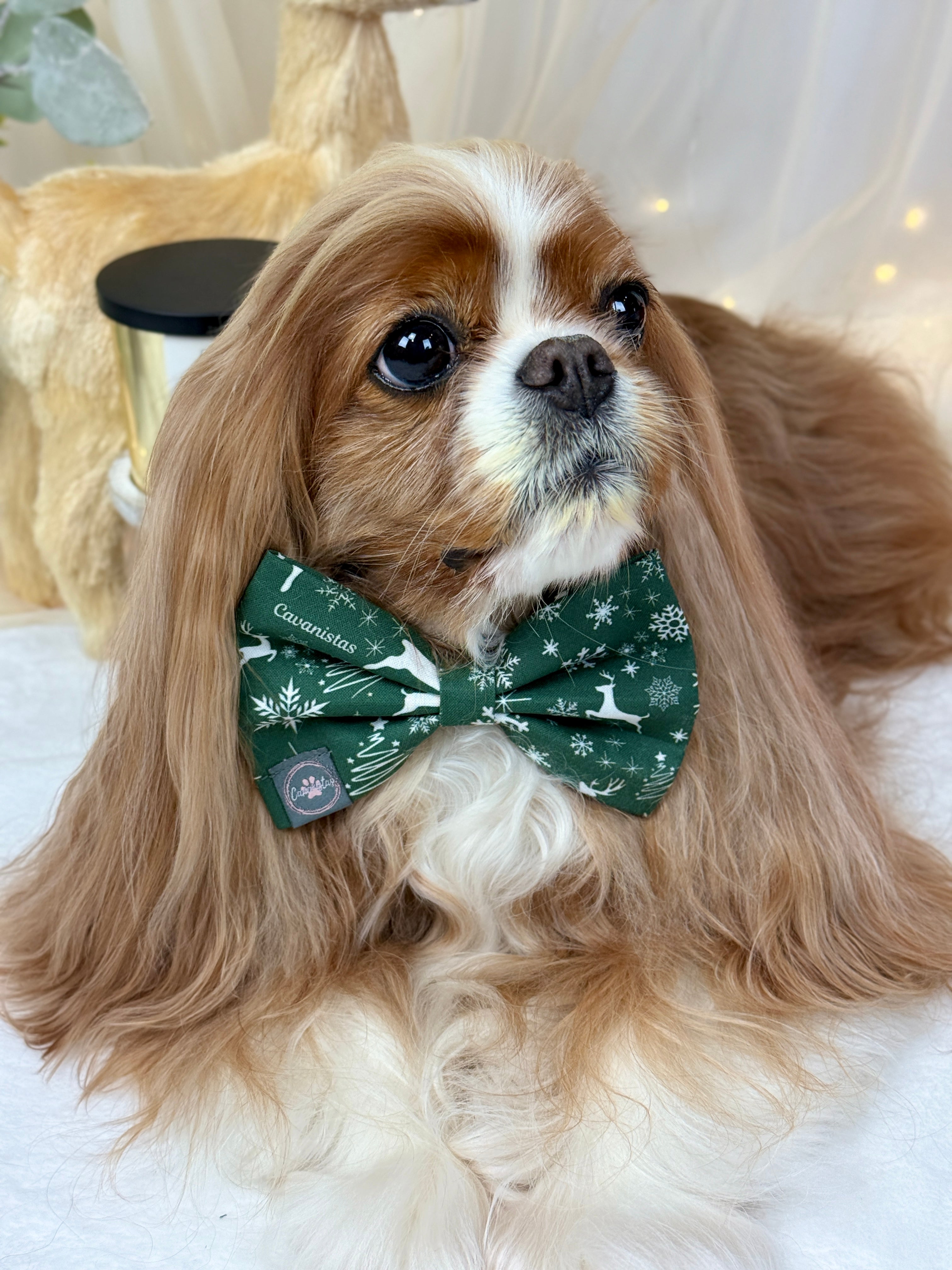 Dressed to Impress Bow Tie - Crimson Winter Garden or Evergreen Sleigh Ride