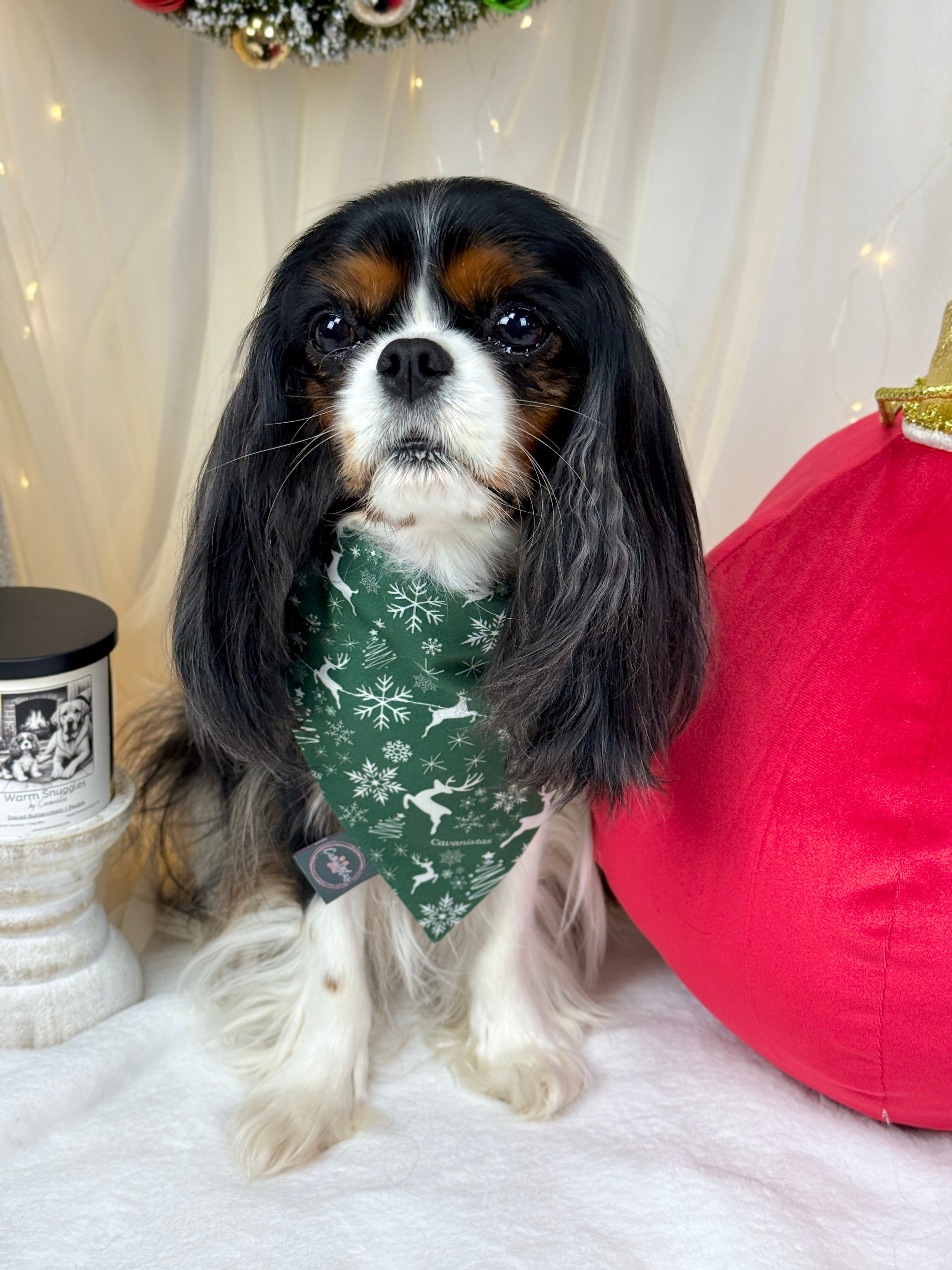 Intermission Wardrobe Change Reversible Bandana - Crimson Winter Garden & Evergreen Sleigh Ride