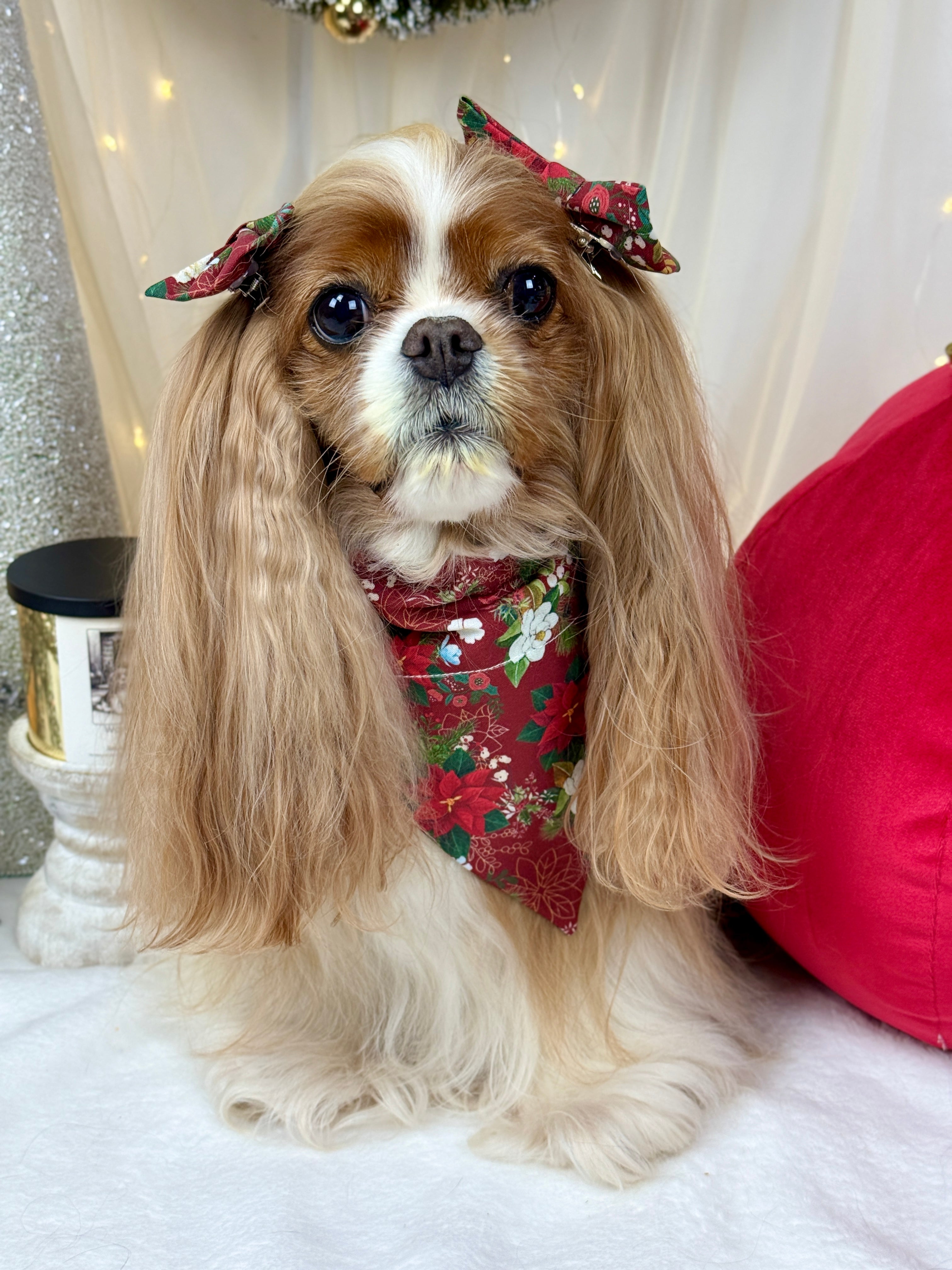 Intermission Wardrobe Change Reversible Bandana - Crimson Winter Garden & Evergreen Sleigh Ride