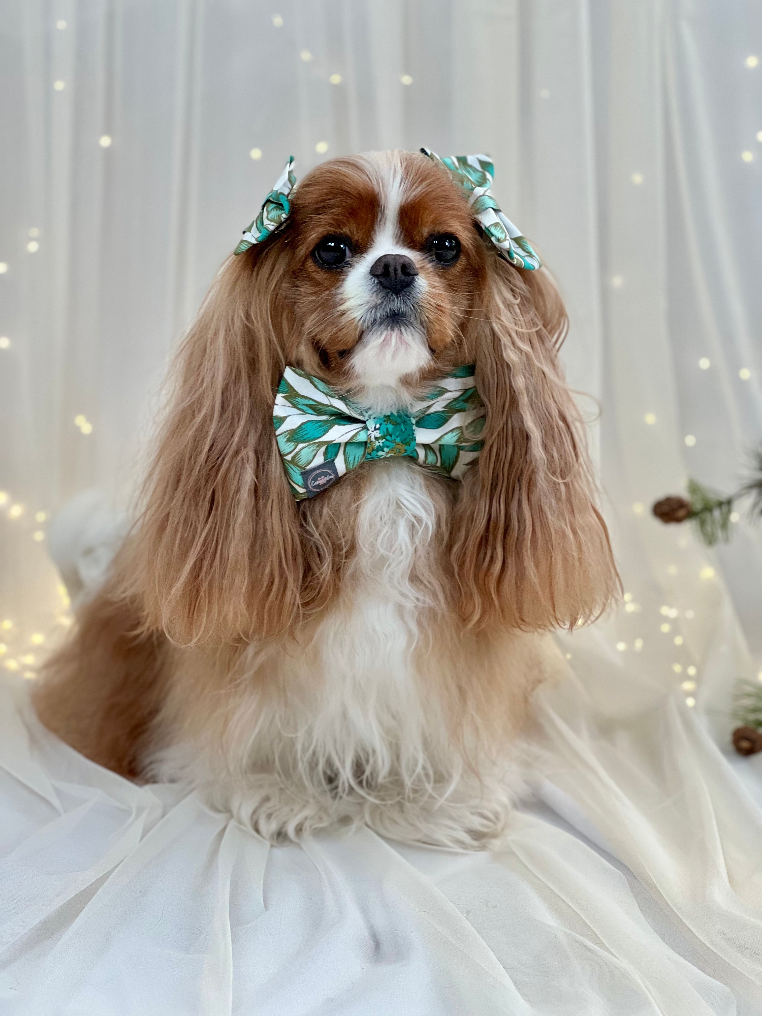 Dress to Impress Bow Tie - Frosted Jade Leaves or Frosted Jade Garden