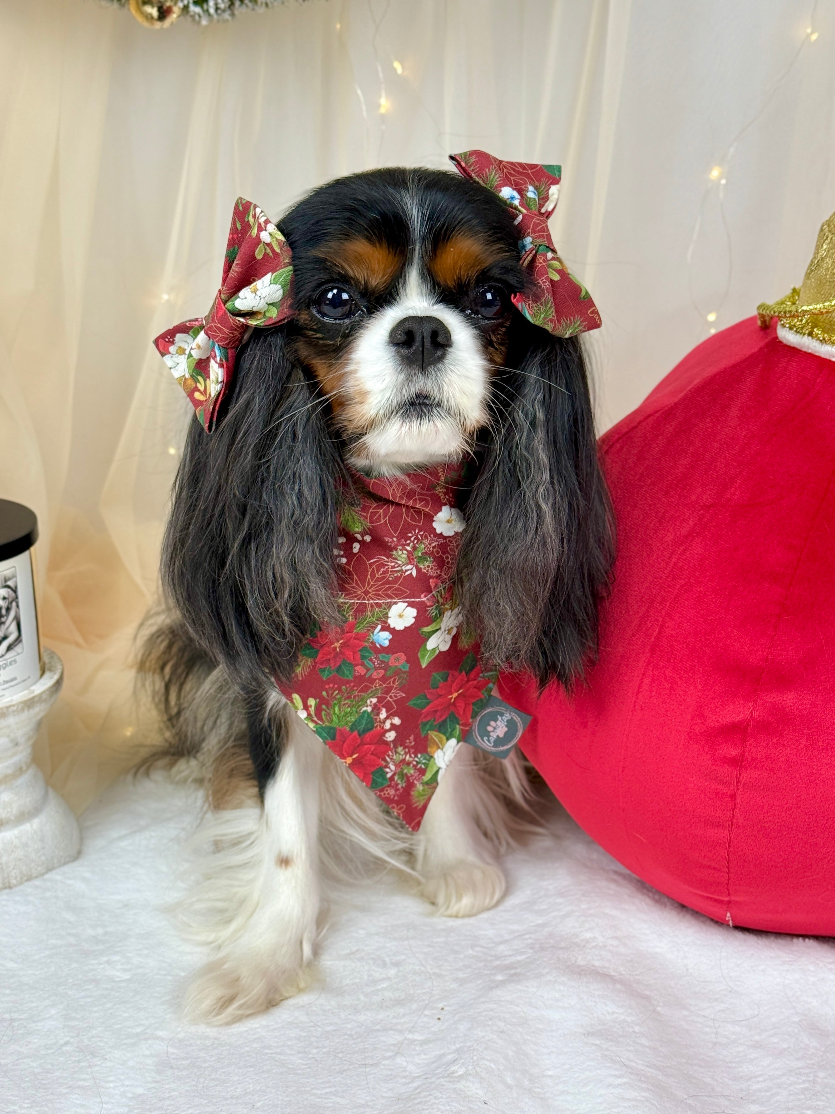 Intermission Wardrobe Change Reversible Bandana - Crimson Winter Garden & Evergreen Sleigh Ride