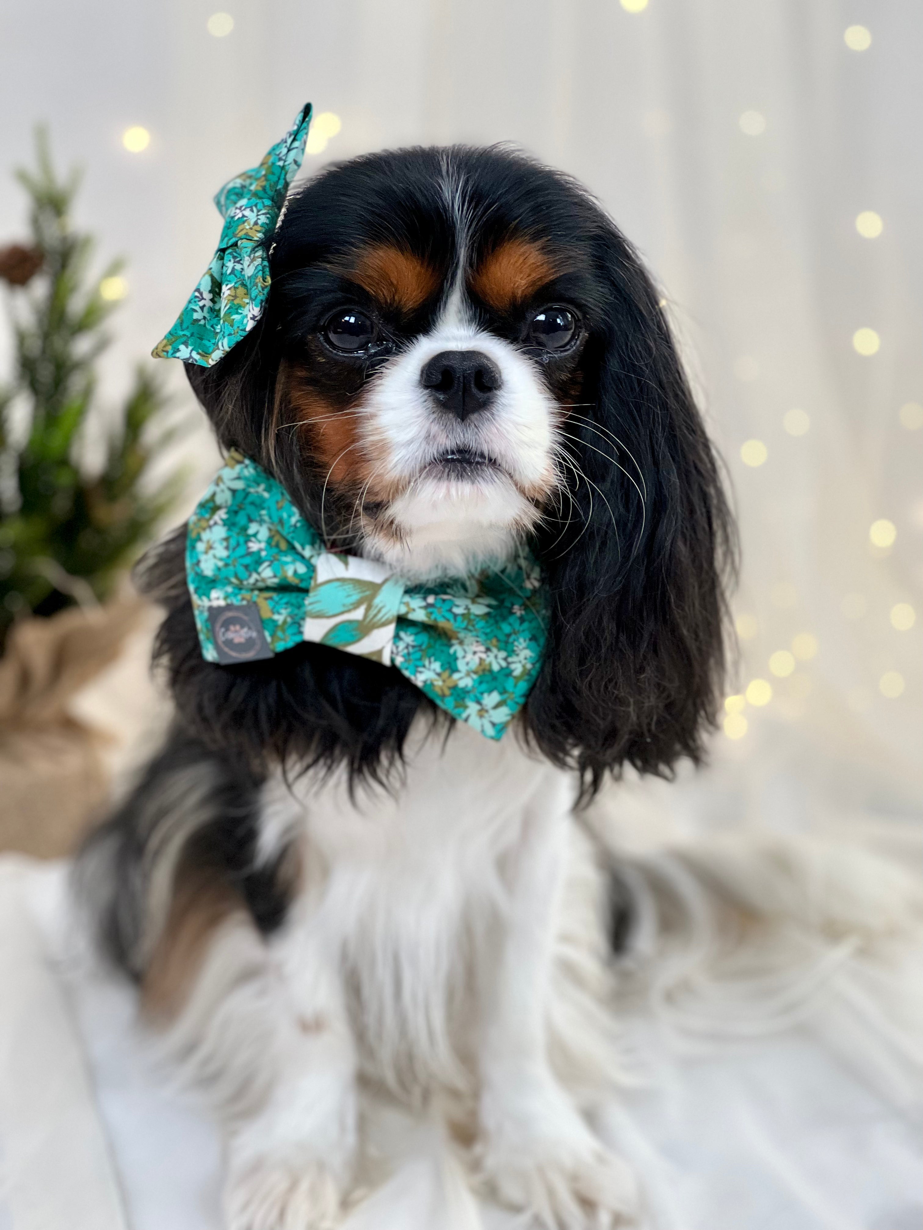 Dress to Impress Bow Tie - Frosted Jade Leaves or Frosted Jade Garden