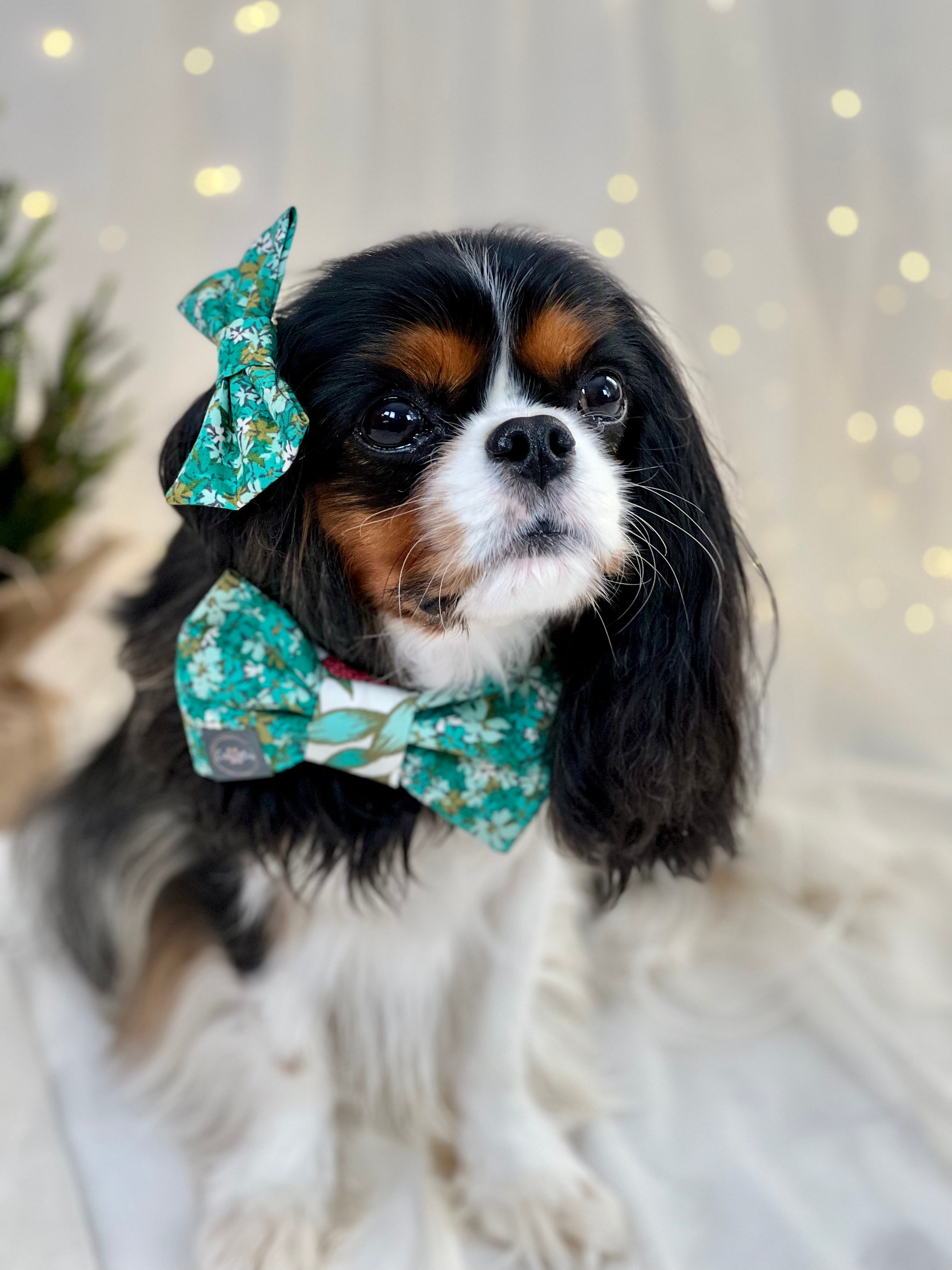 Dress to Impress Bow Tie - Frosted Jade Leaves or Frosted Jade Garden