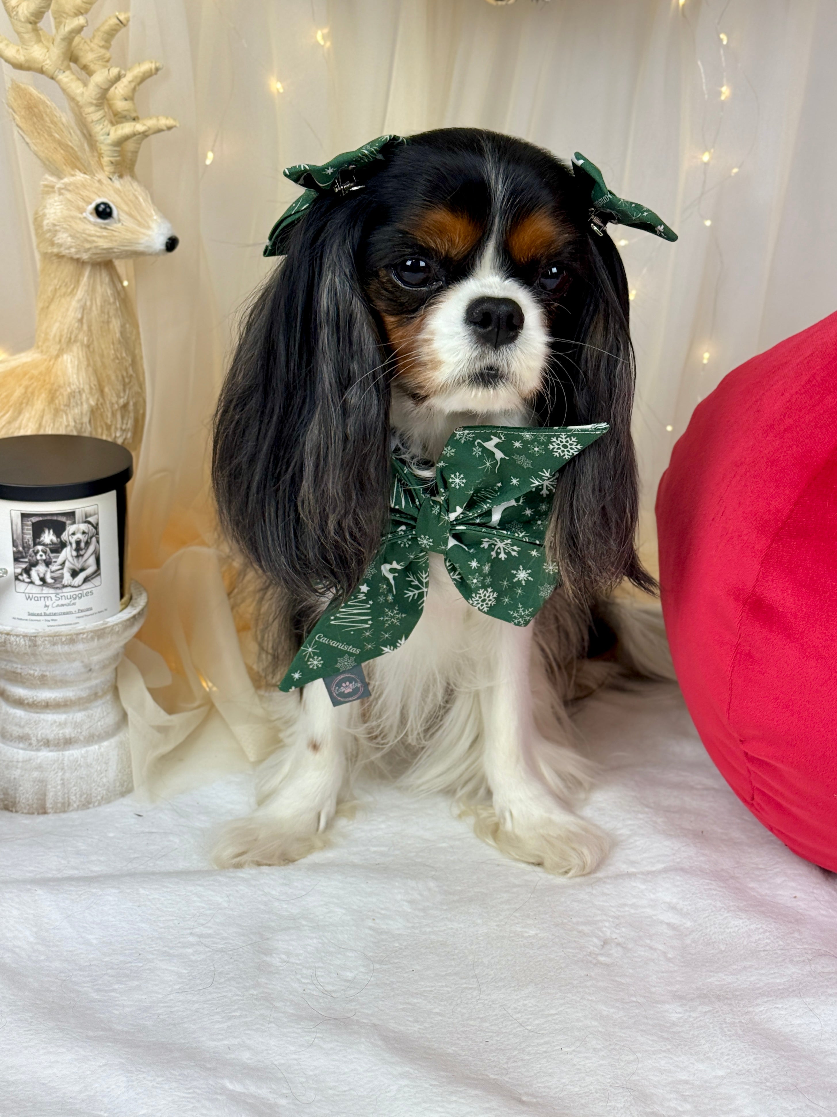 Strike a Pose Bow - Crimson Winter Garden or Evergreen Sleigh Ride