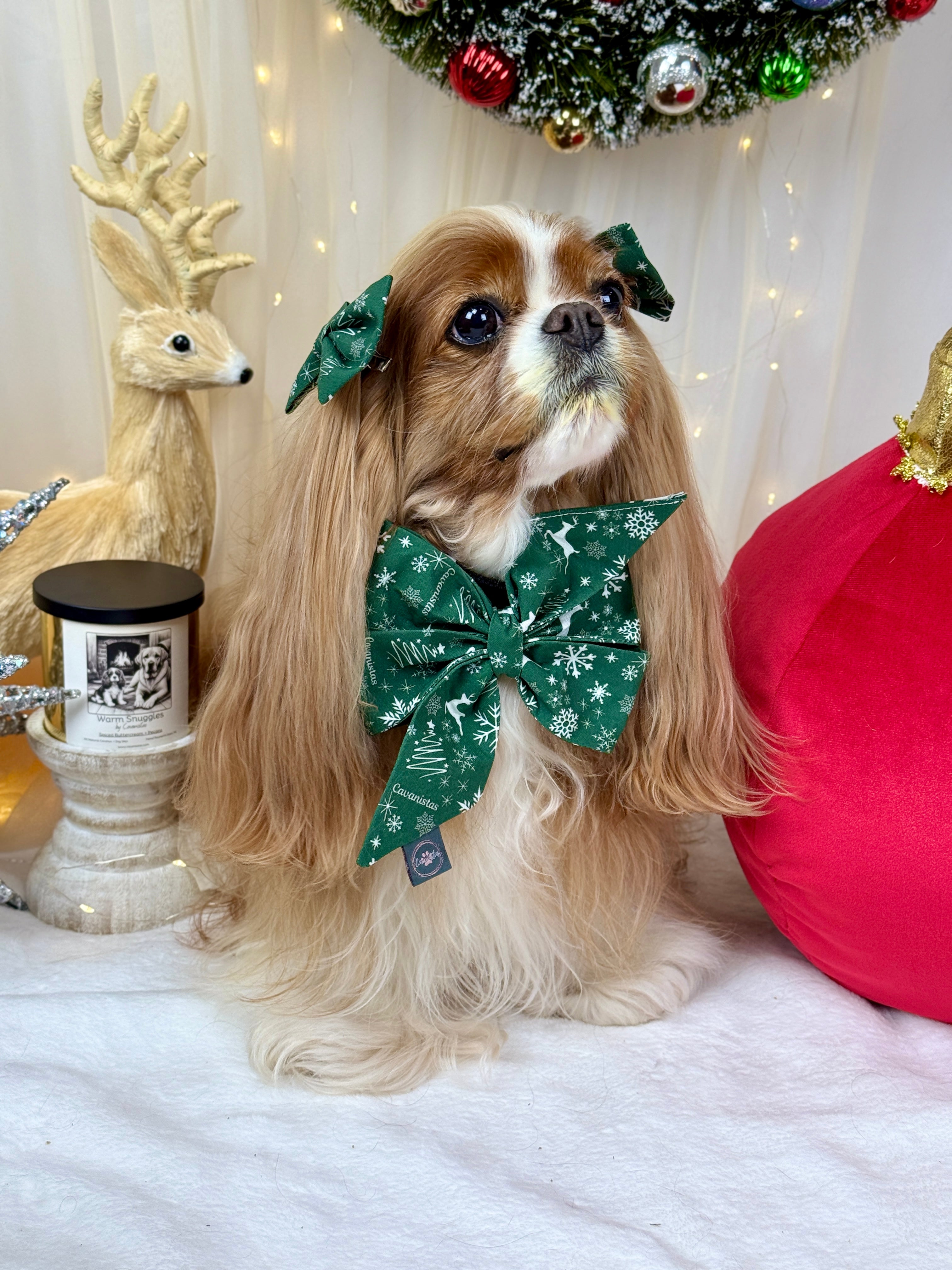 Strike a Pose Bow - Crimson Winter Garden or Evergreen Sleigh Ride