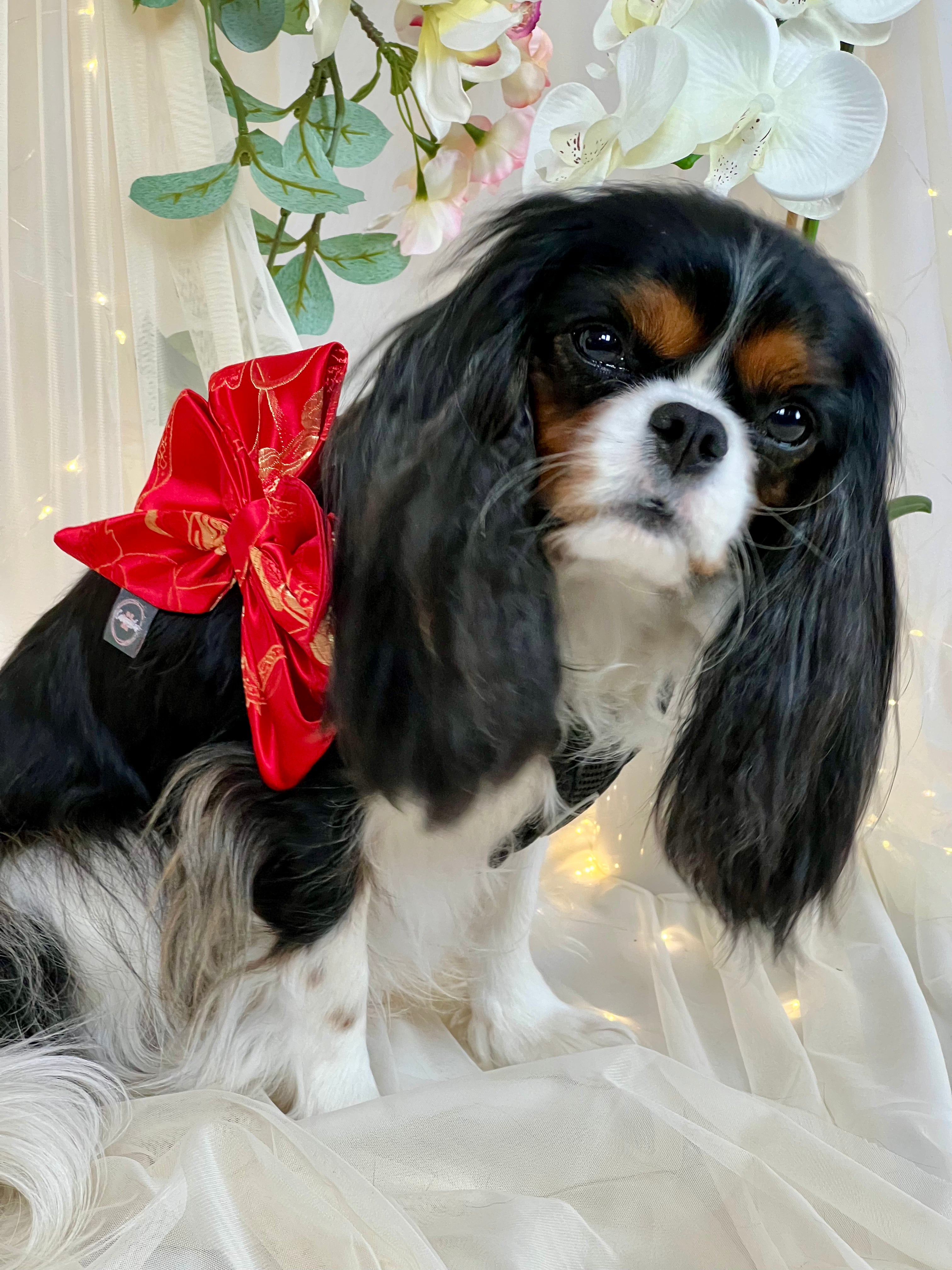 Strike a Pose Bow - Chinese New Year