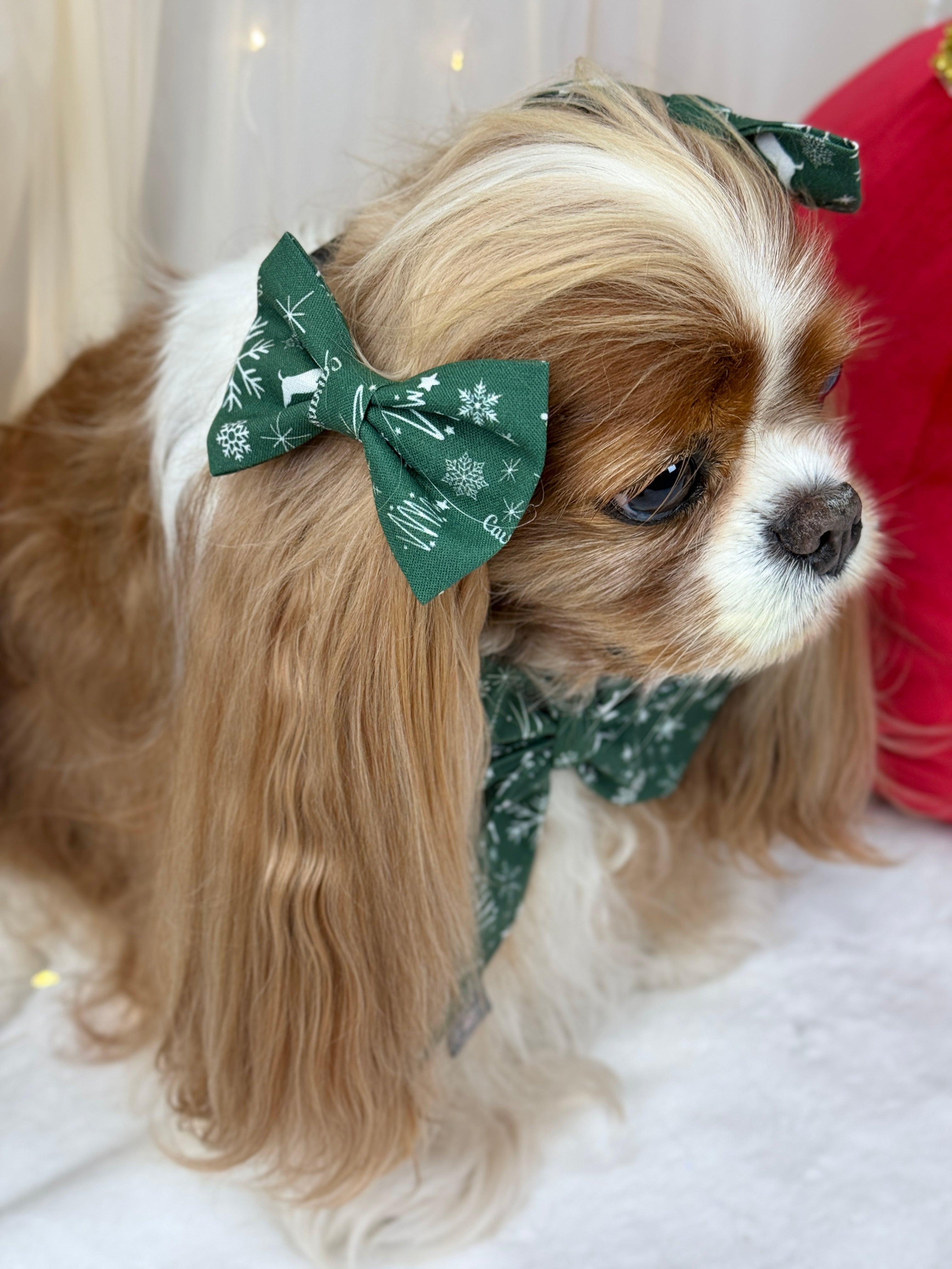 Accessories are a Must Hair Bows - Crimson Winter Garden or Evergreen Sleigh Ride