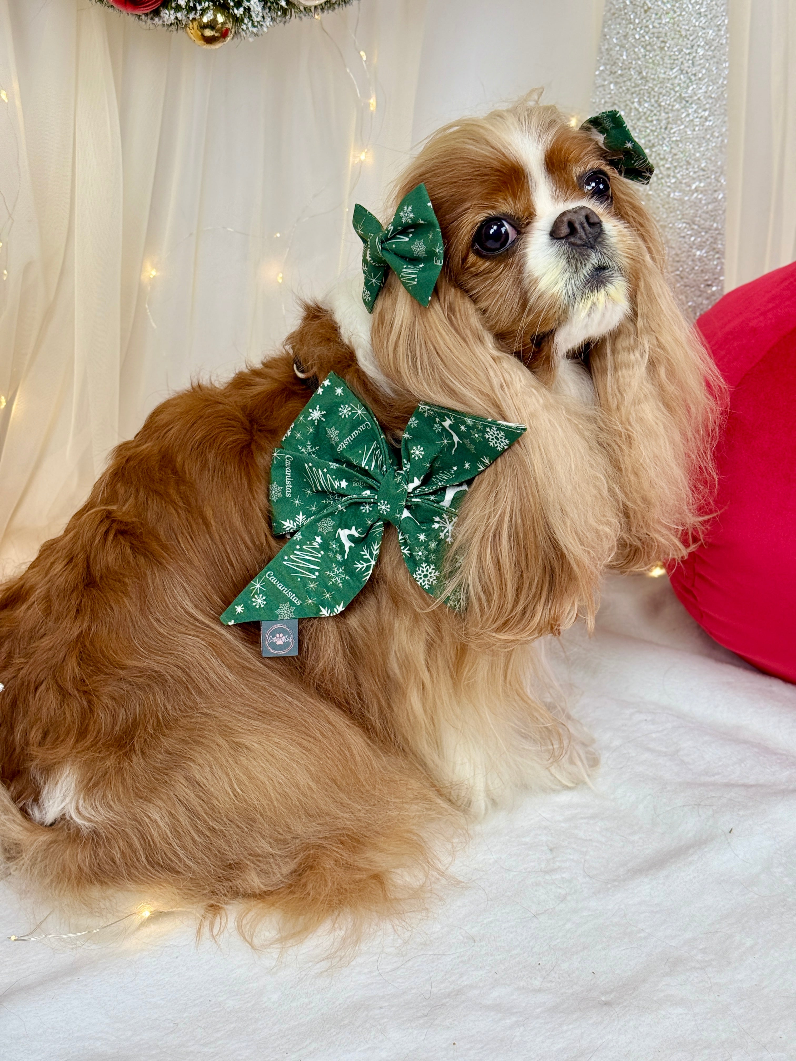 Strike a Pose Bow - Crimson Winter Garden or Evergreen Sleigh Ride