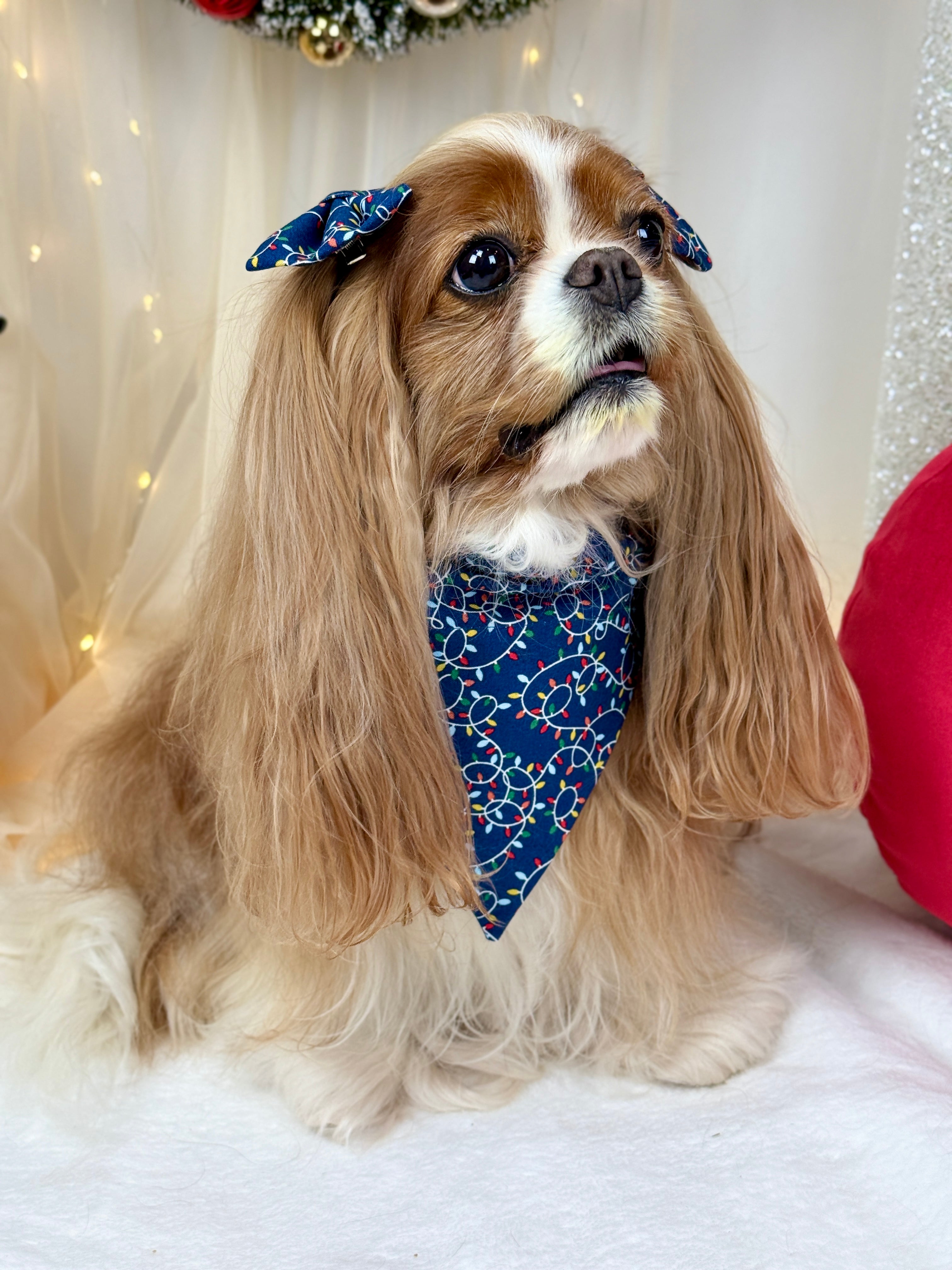 Intermission Wardrobe Change Reversible Bandana - Deck the Halls & Trim the Tree