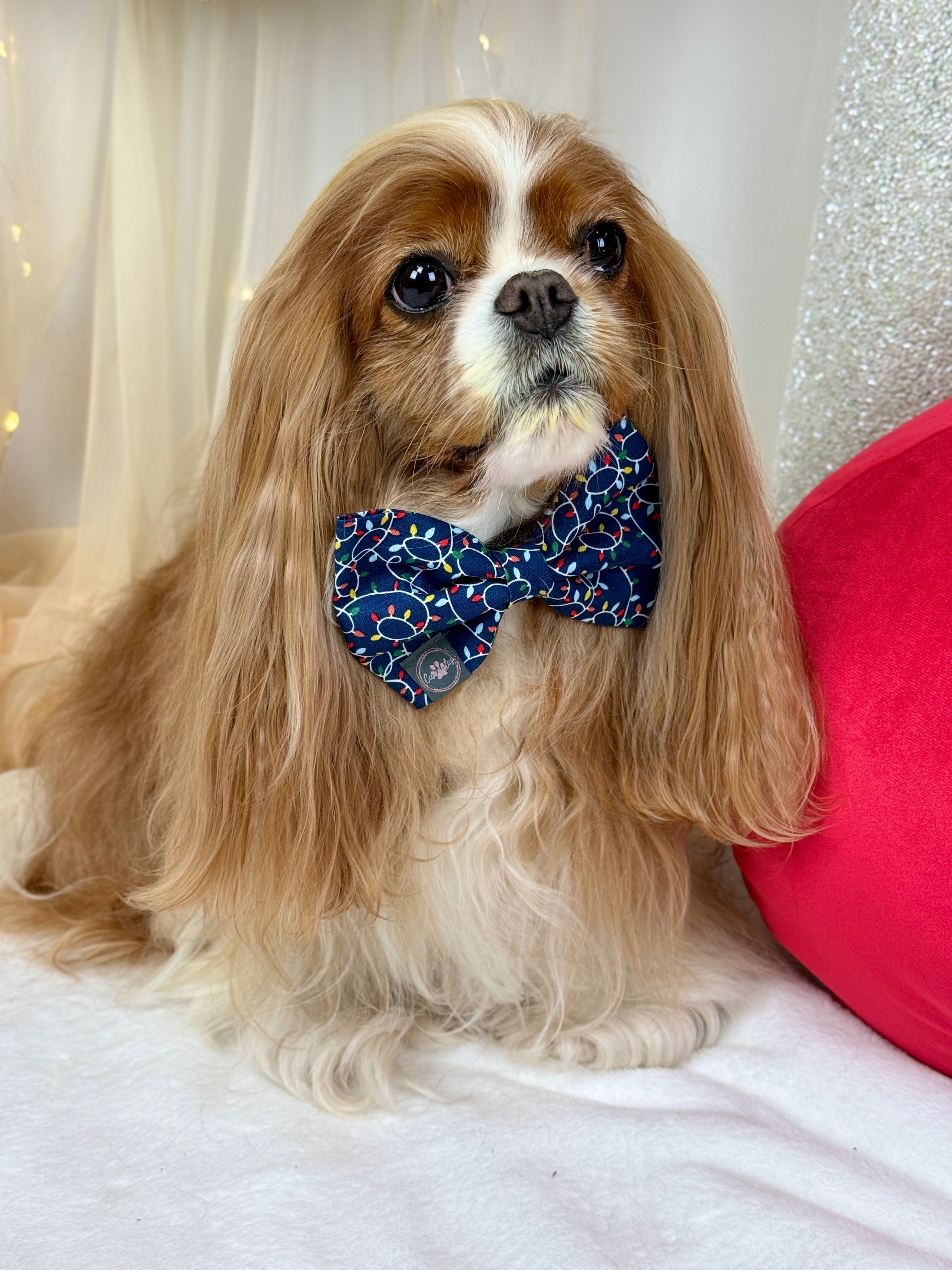 Dress to Impress Bow Tie - Deck the Halls or Trim the Tree