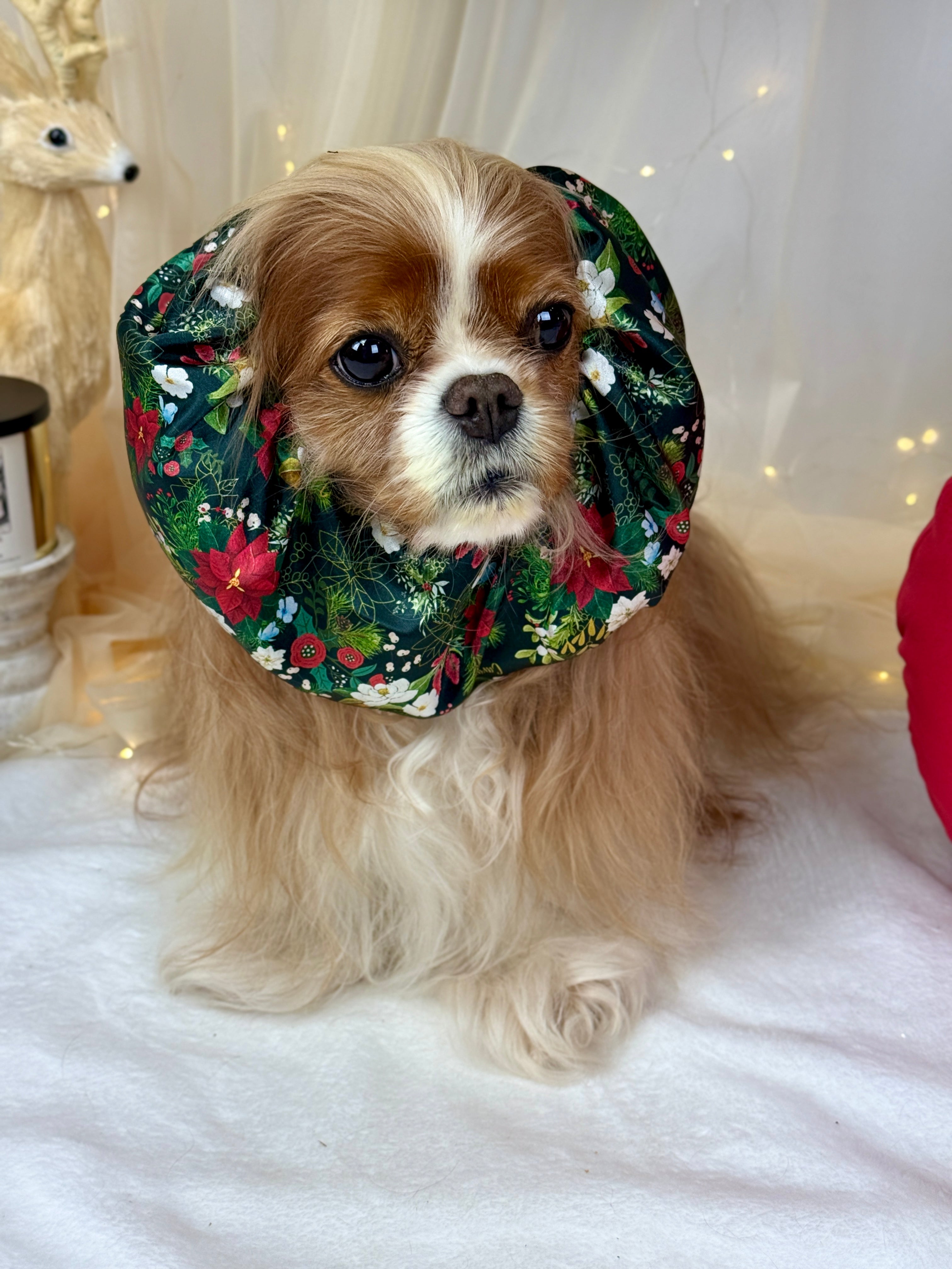 The Long Ear Struggles are Real Snood - Midnight Winter Garden