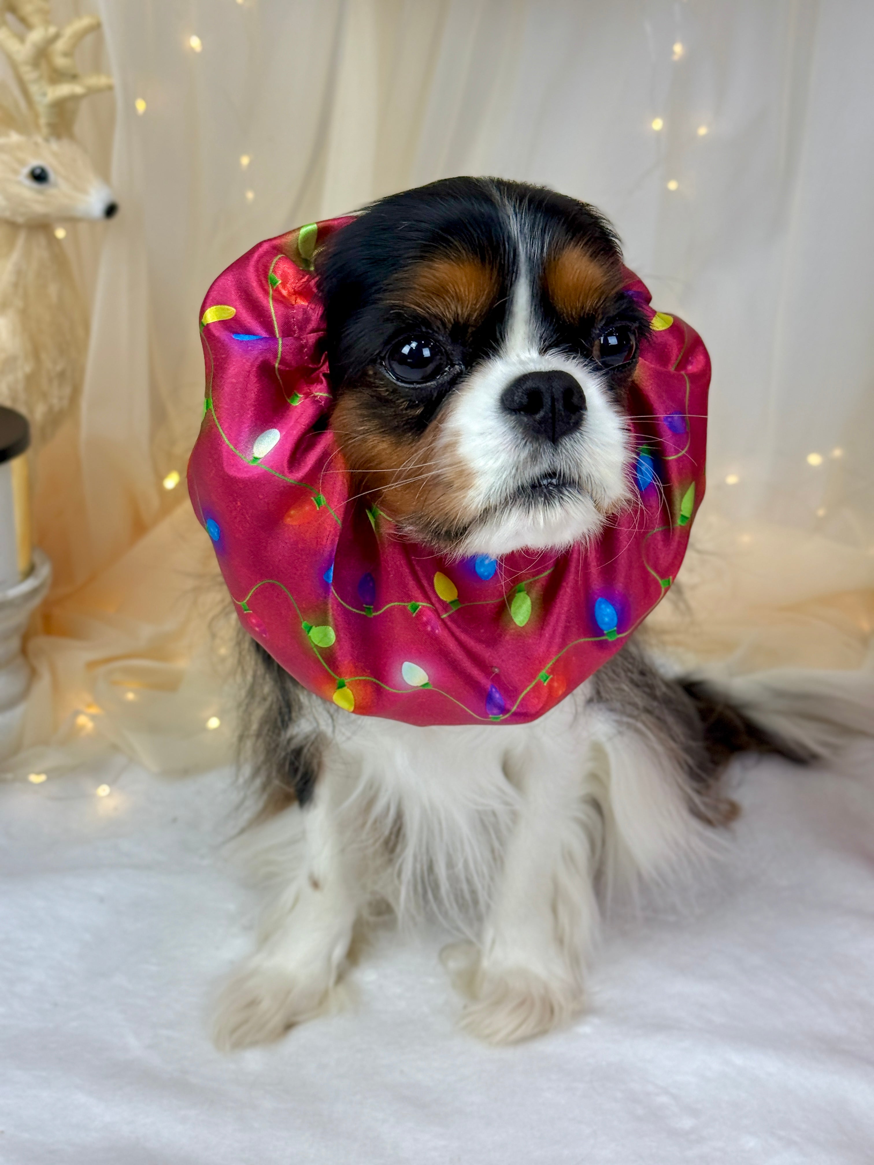 The Long Ear Struggles are Real Snood - Twinkle Time