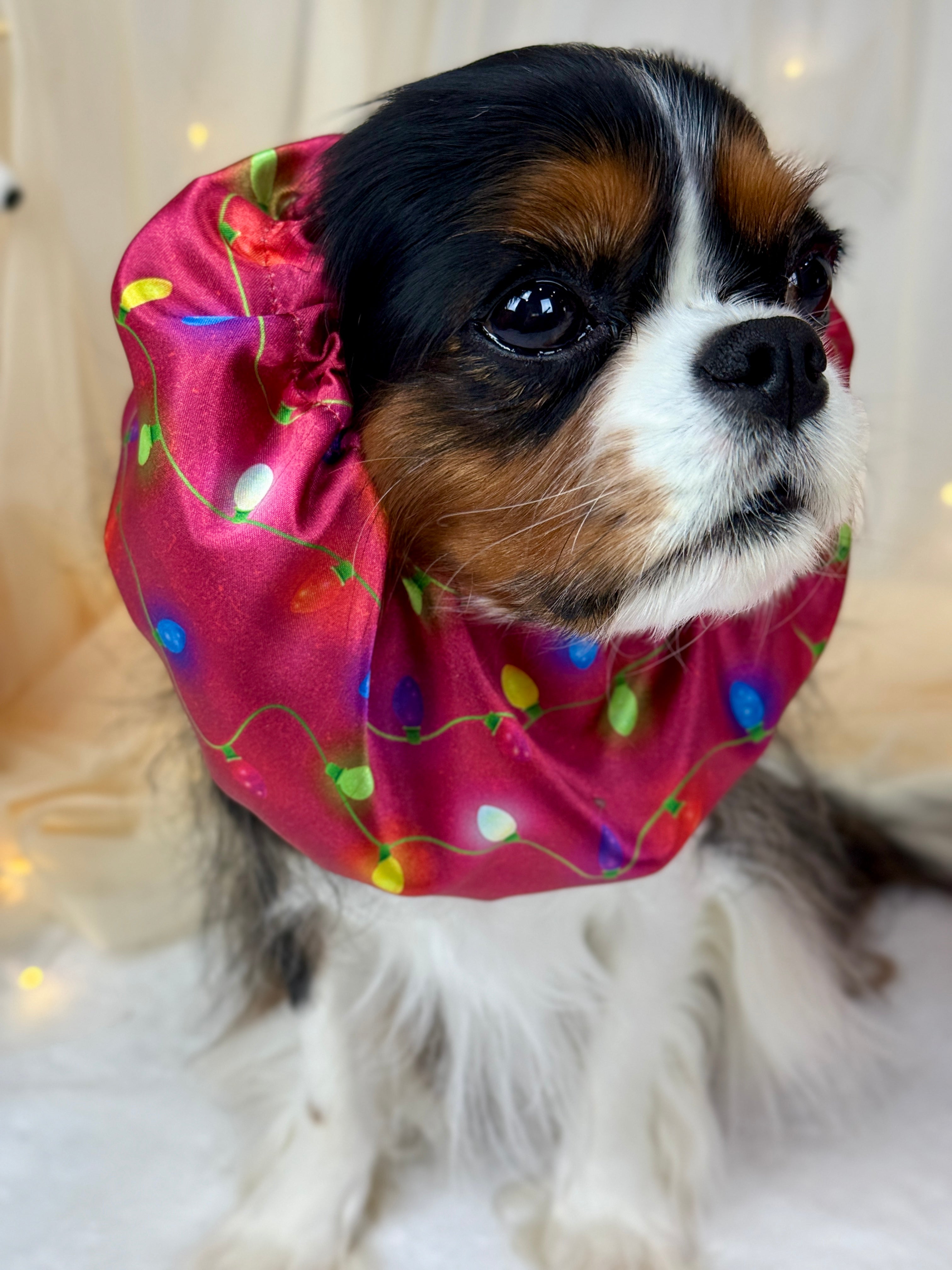 The Long Ear Struggles are Real Snood - Twinkle Time