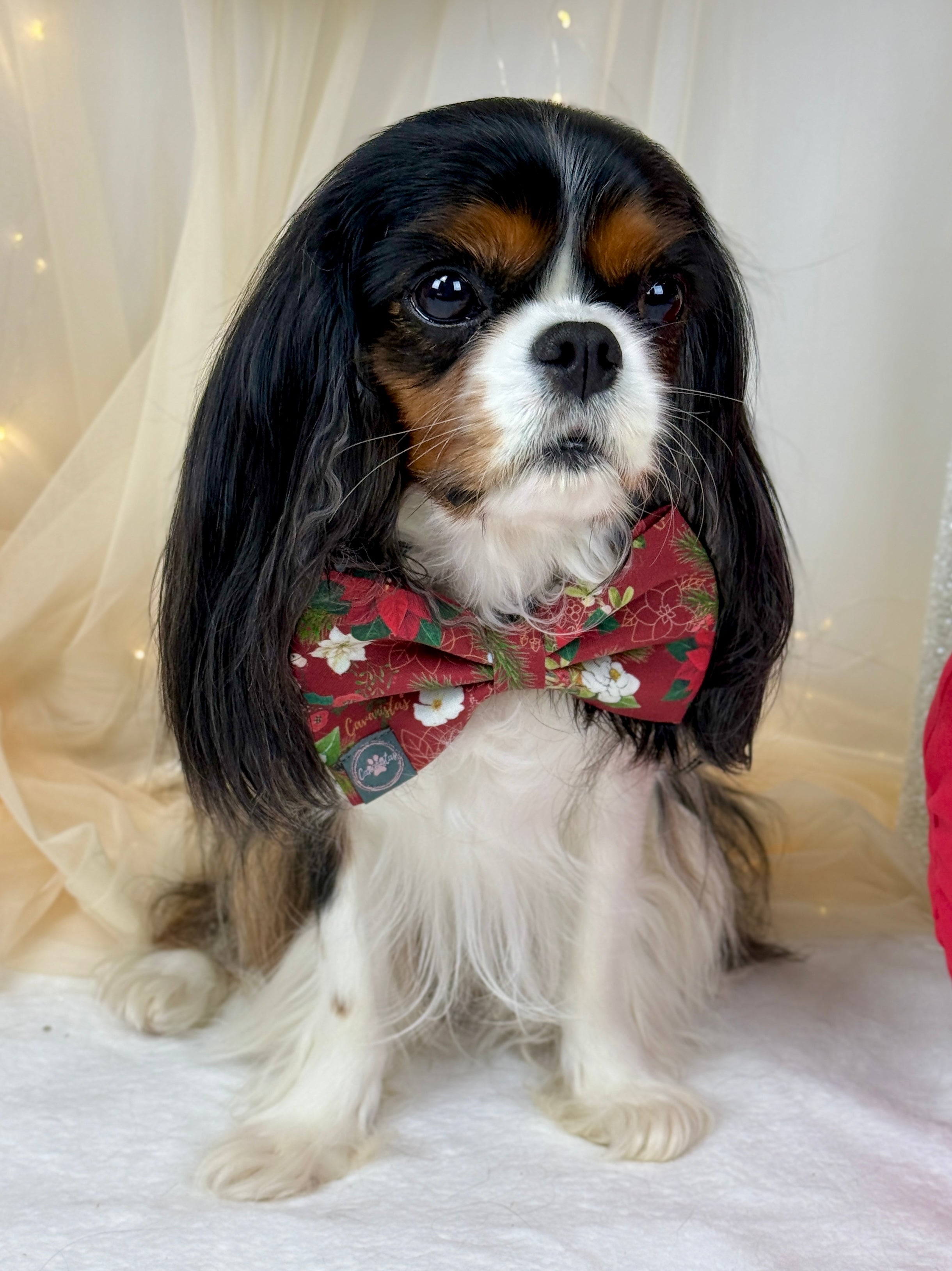 Dressed to Impress Bow Tie - Crimson Winter Garden or Evergreen Sleigh Ride
