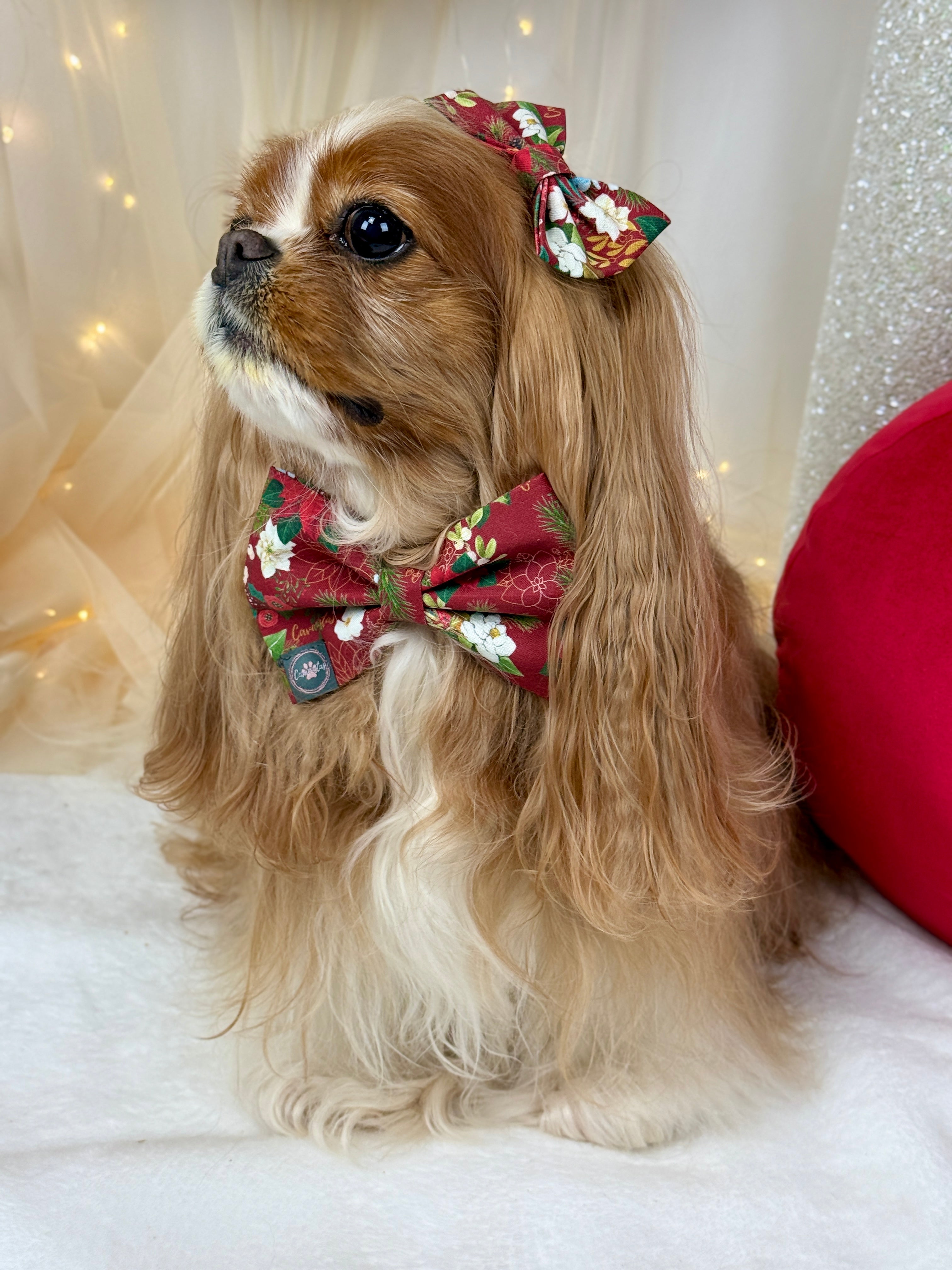 Dressed to Impress Bow Tie - Crimson Winter Garden or Evergreen Sleigh Ride