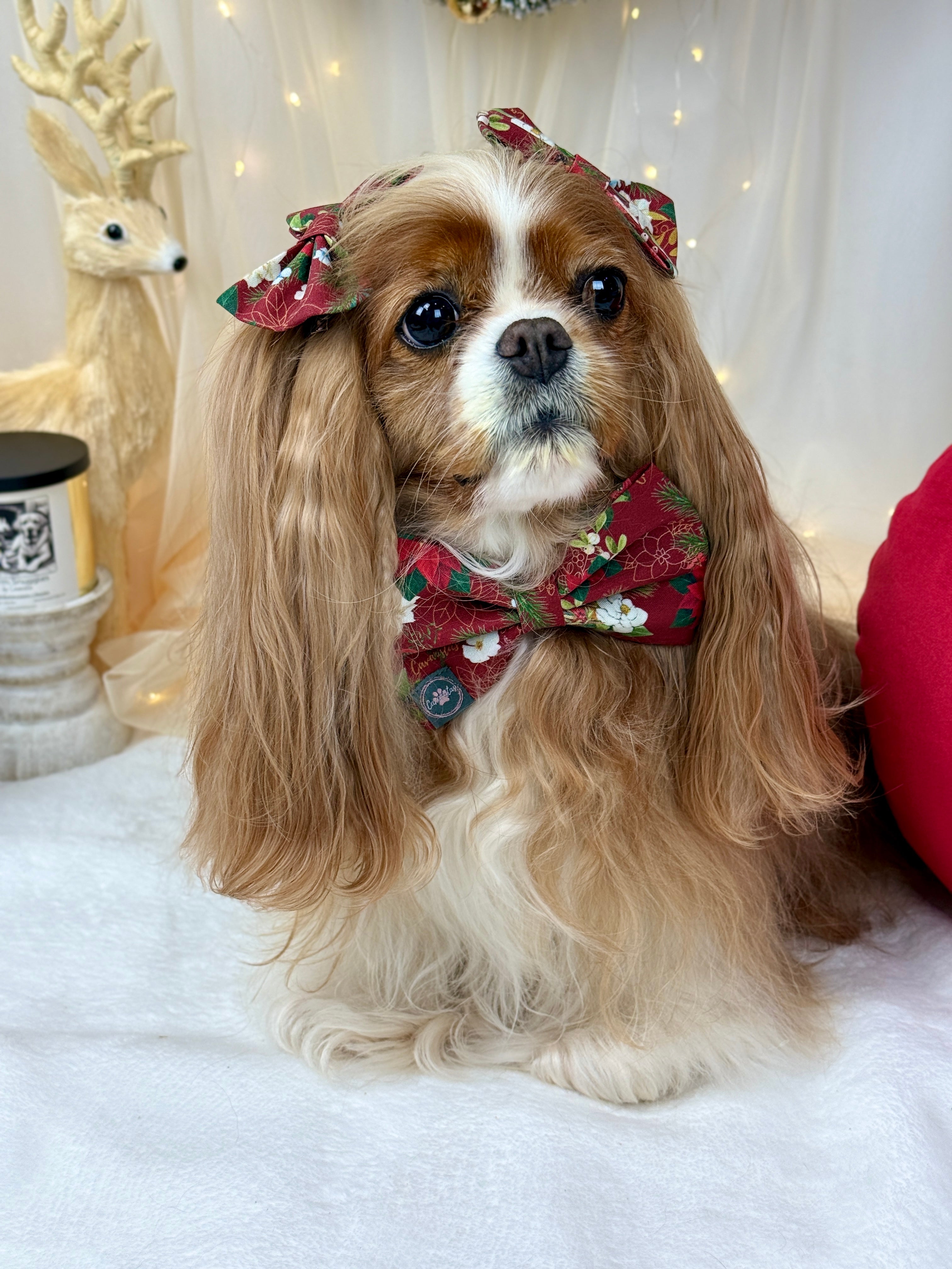Dressed to Impress Bow Tie - Crimson Winter Garden or Evergreen Sleigh Ride