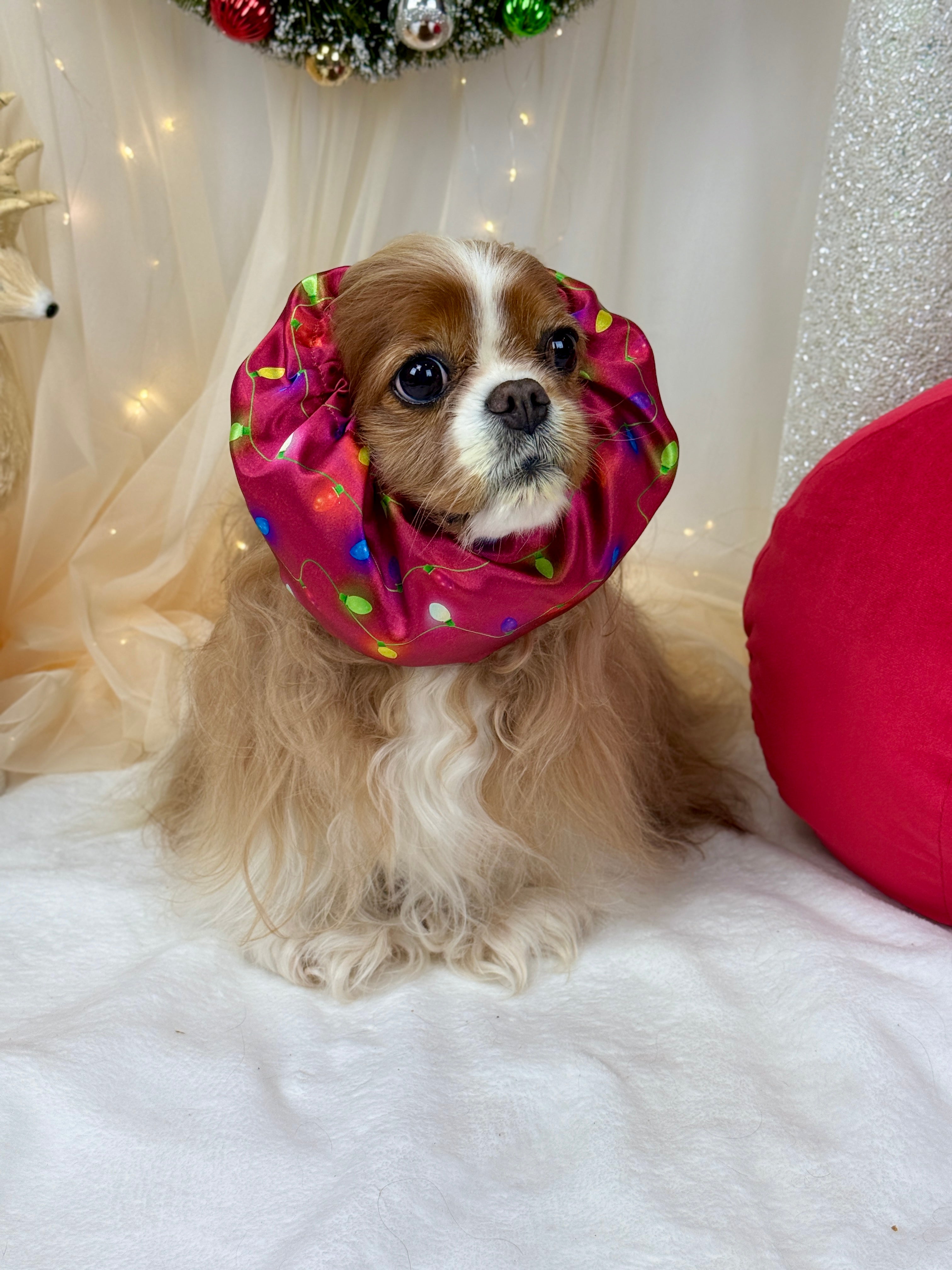 The Long Ear Struggles are Real Snood - Twinkle Time