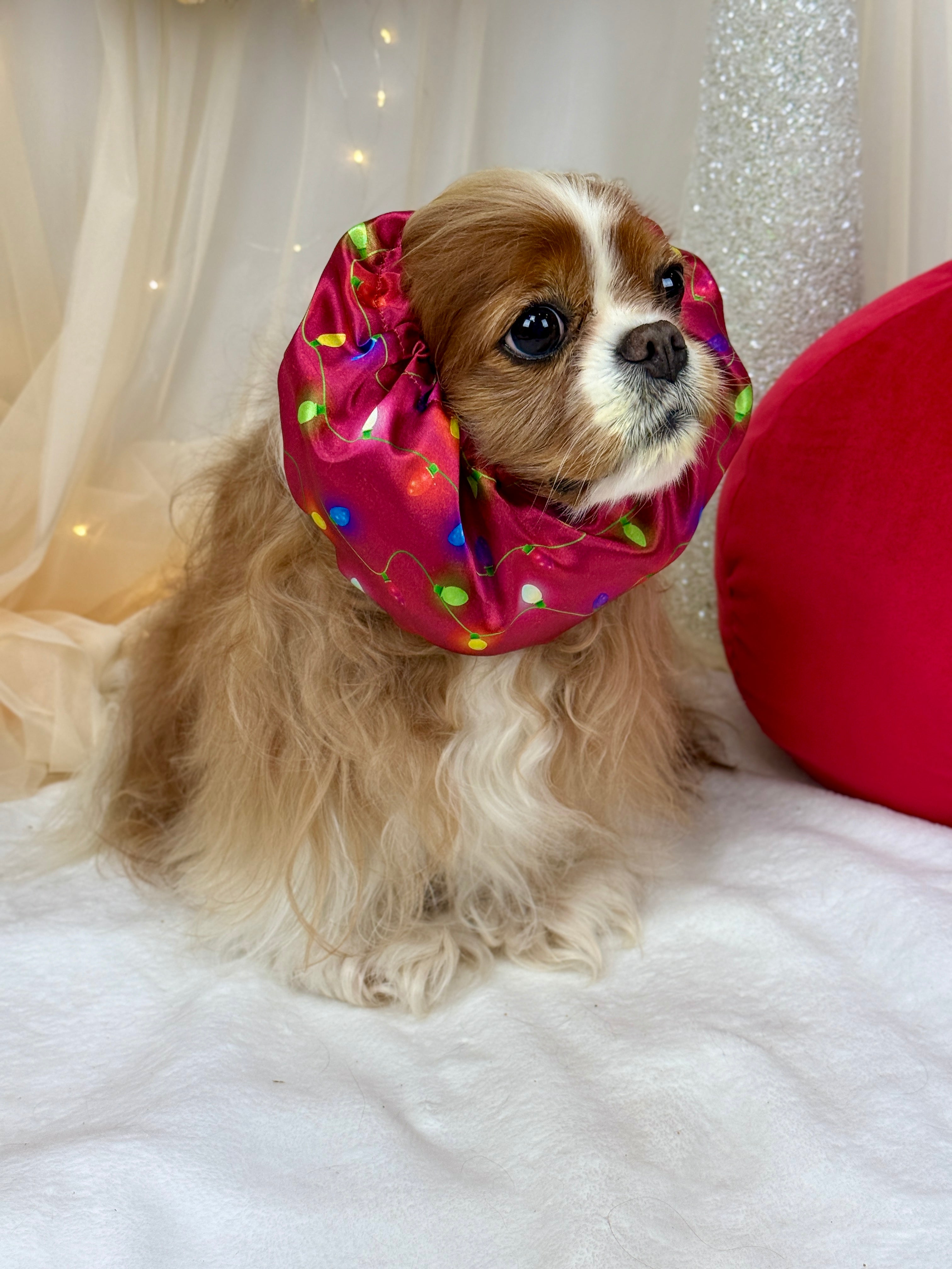 The Long Ear Struggles are Real Snood - Twinkle Time