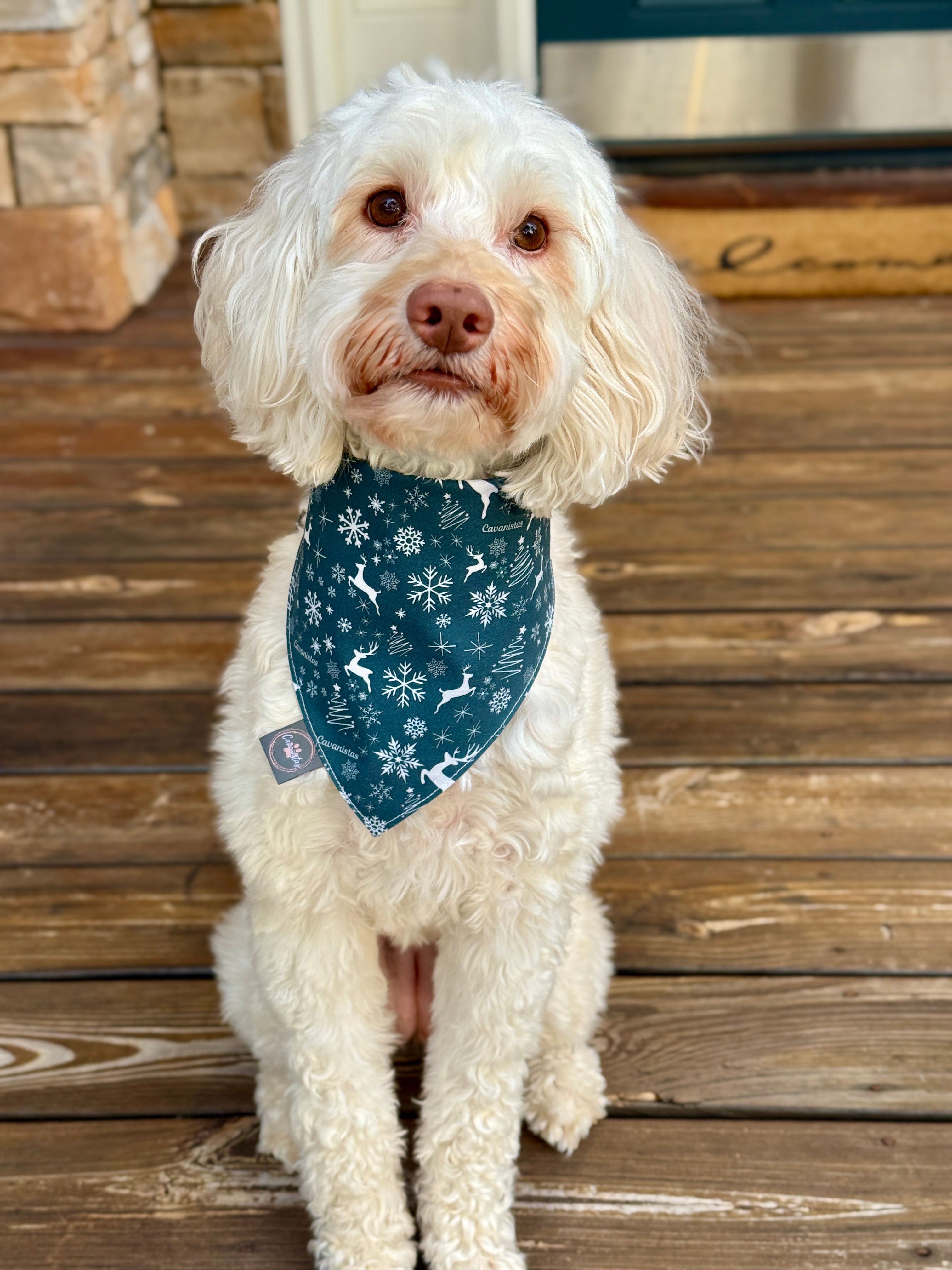 Intermission Wardrobe Change Reversible Bandana - Midnight Winter Garden & Twilight Sleigh Ride