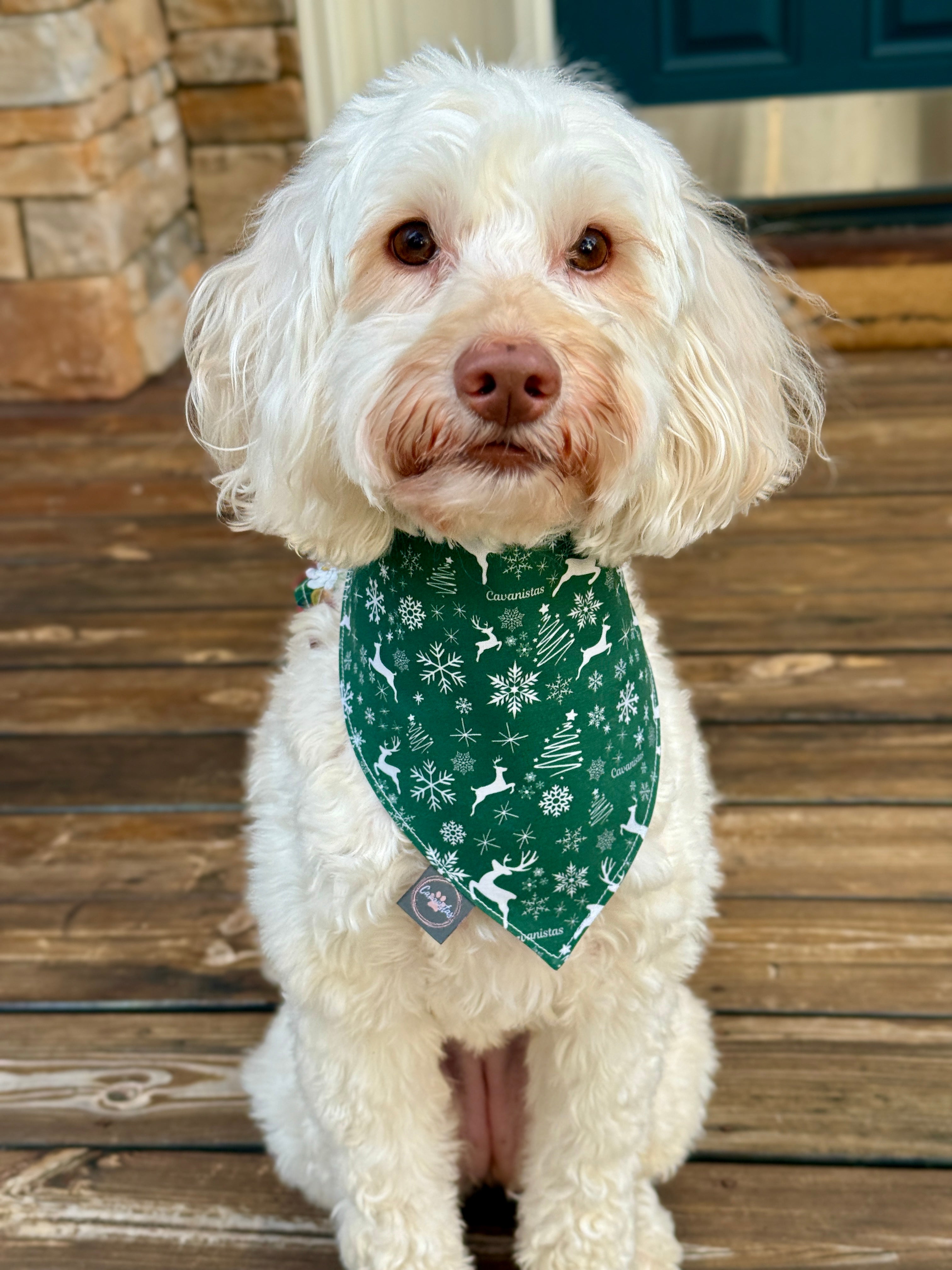 Intermission Wardrobe Change Reversible Bandana - Crimson Winter Garden & Evergreen Sleigh Ride