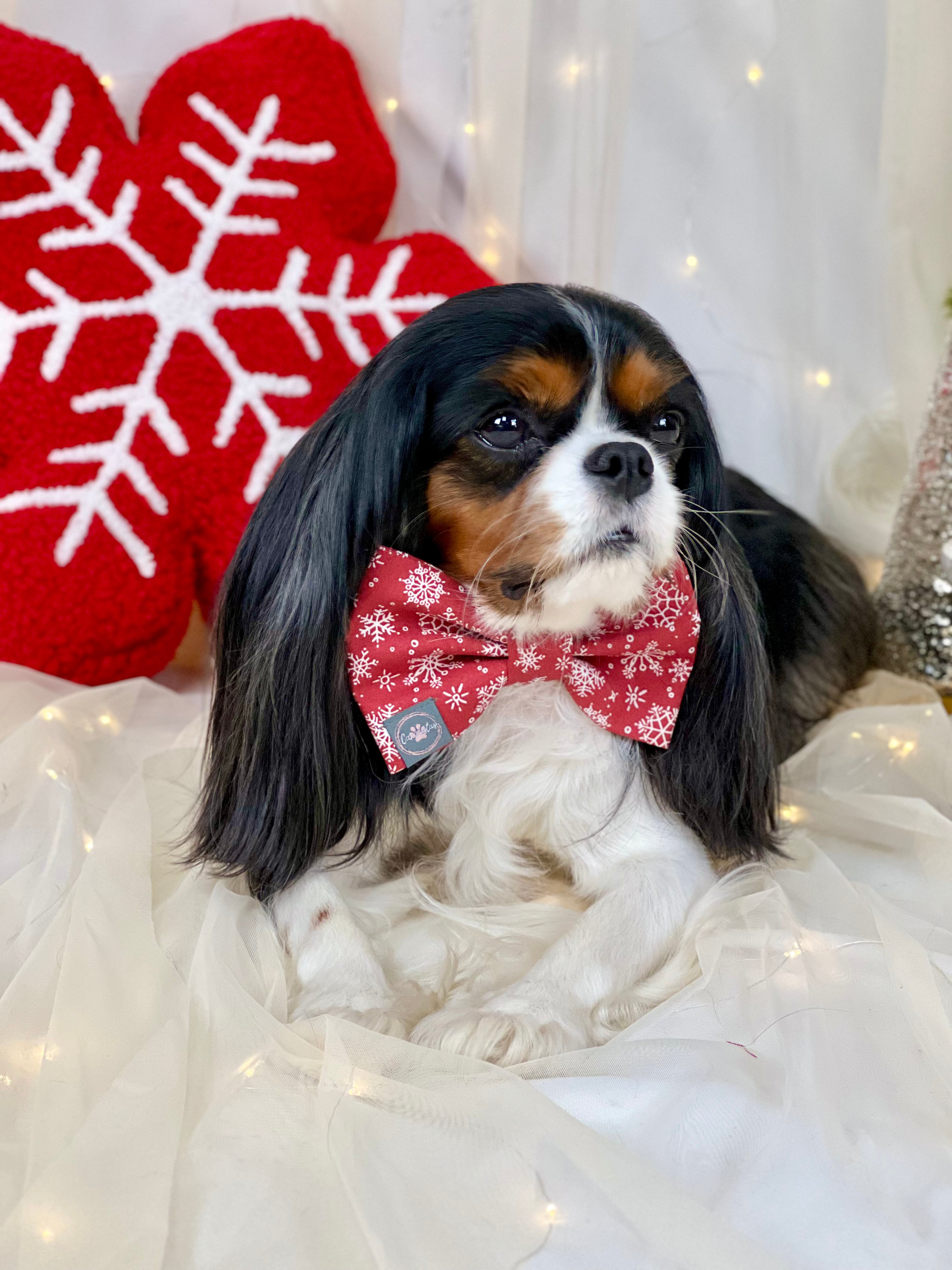 Dress to Impress Bow Tie - Festive Baubles & Snow Flurries