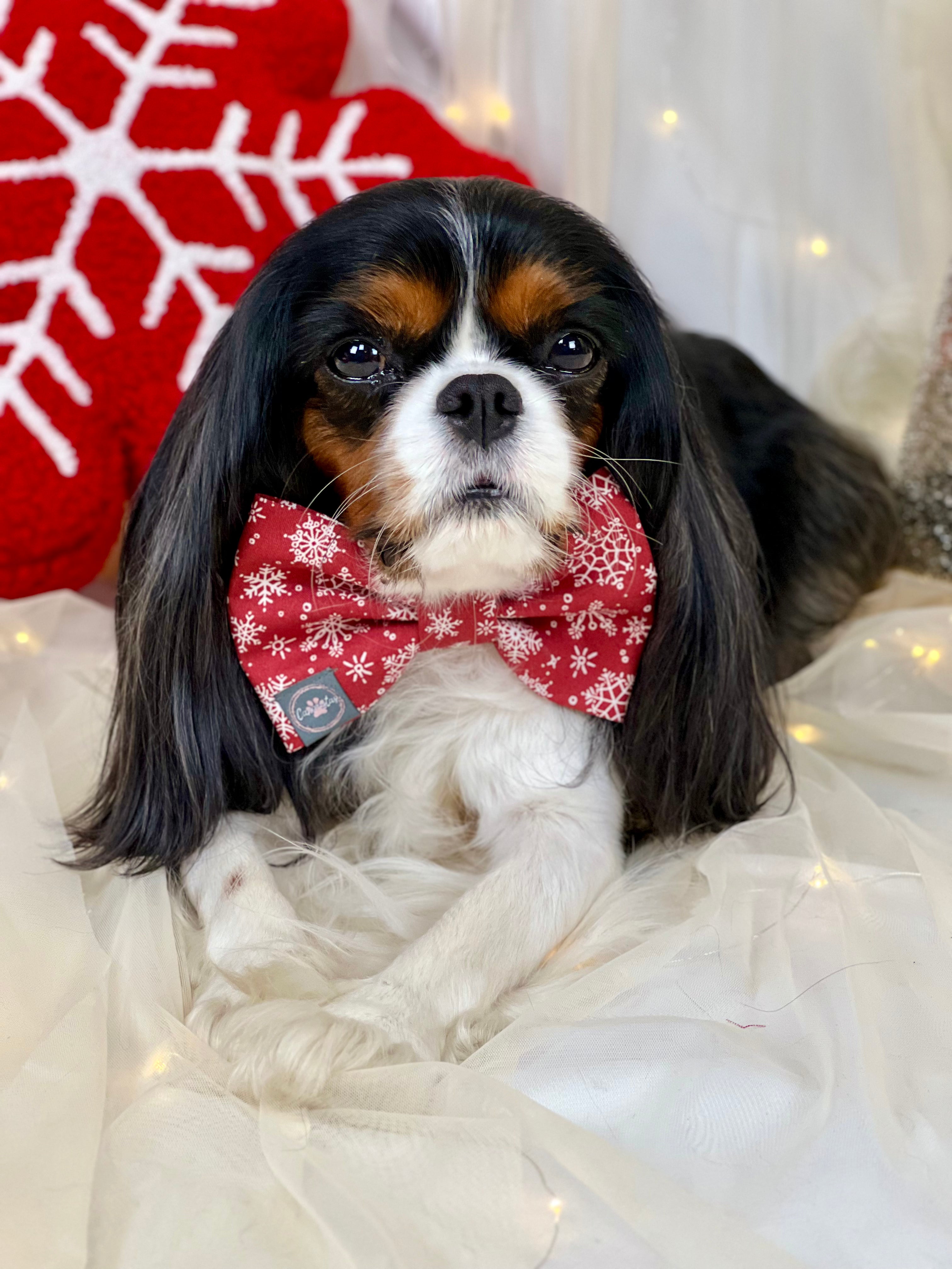 Dress to Impress Bow Tie - Festive Baubles & Snow Flurries